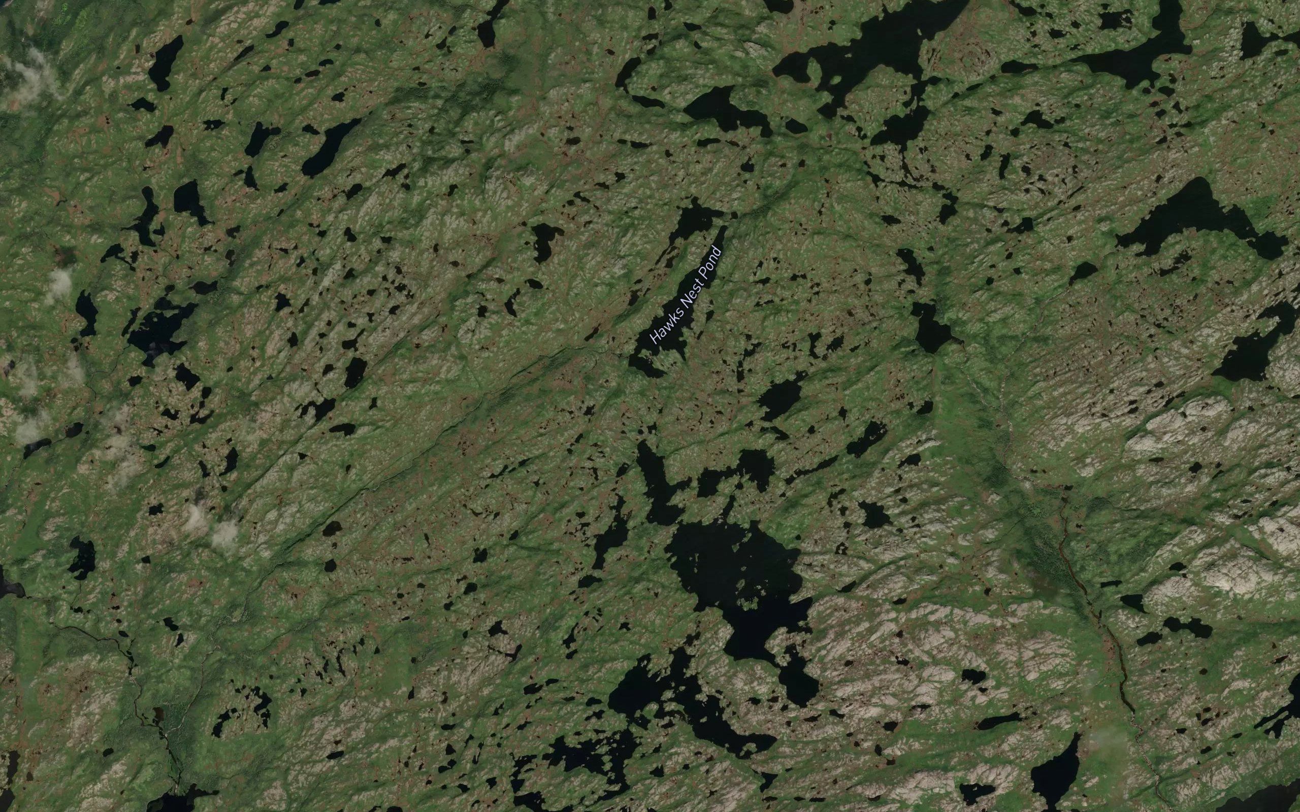Hawks Nest Pond