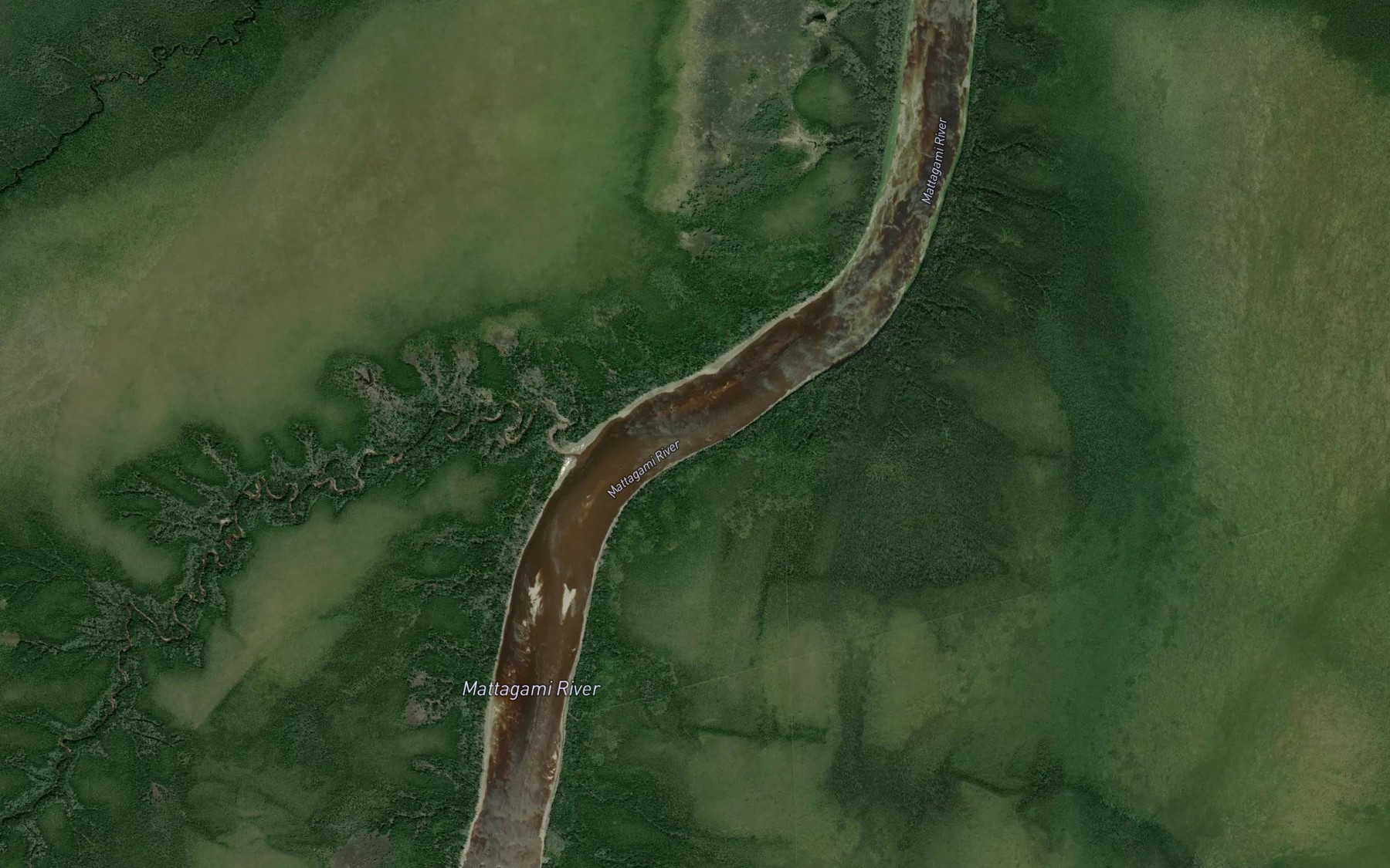 Satellite map of the Long Rapids