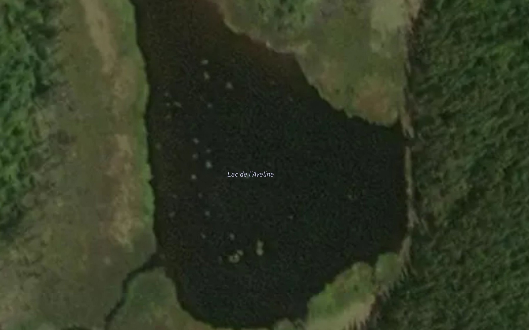 Satellite map of the Lac de l'Aveline