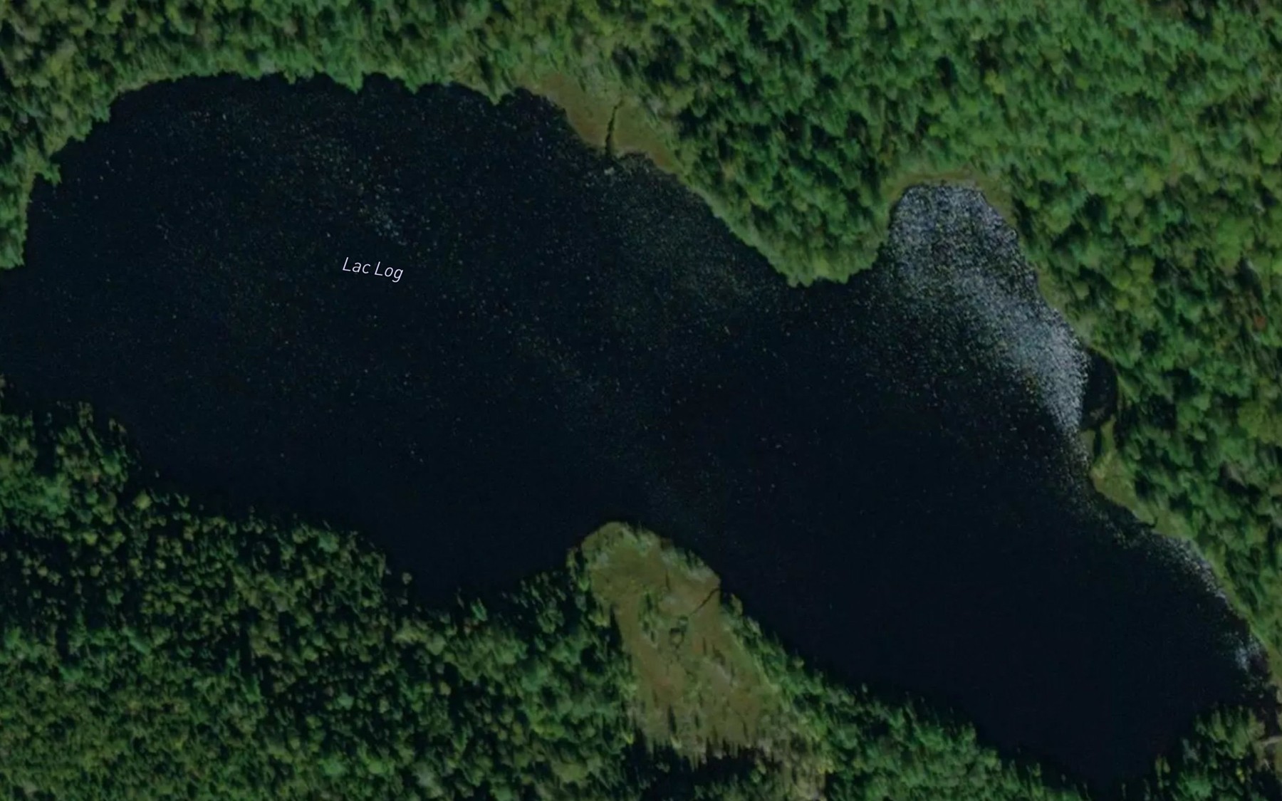 Satellite map of the Lac Log