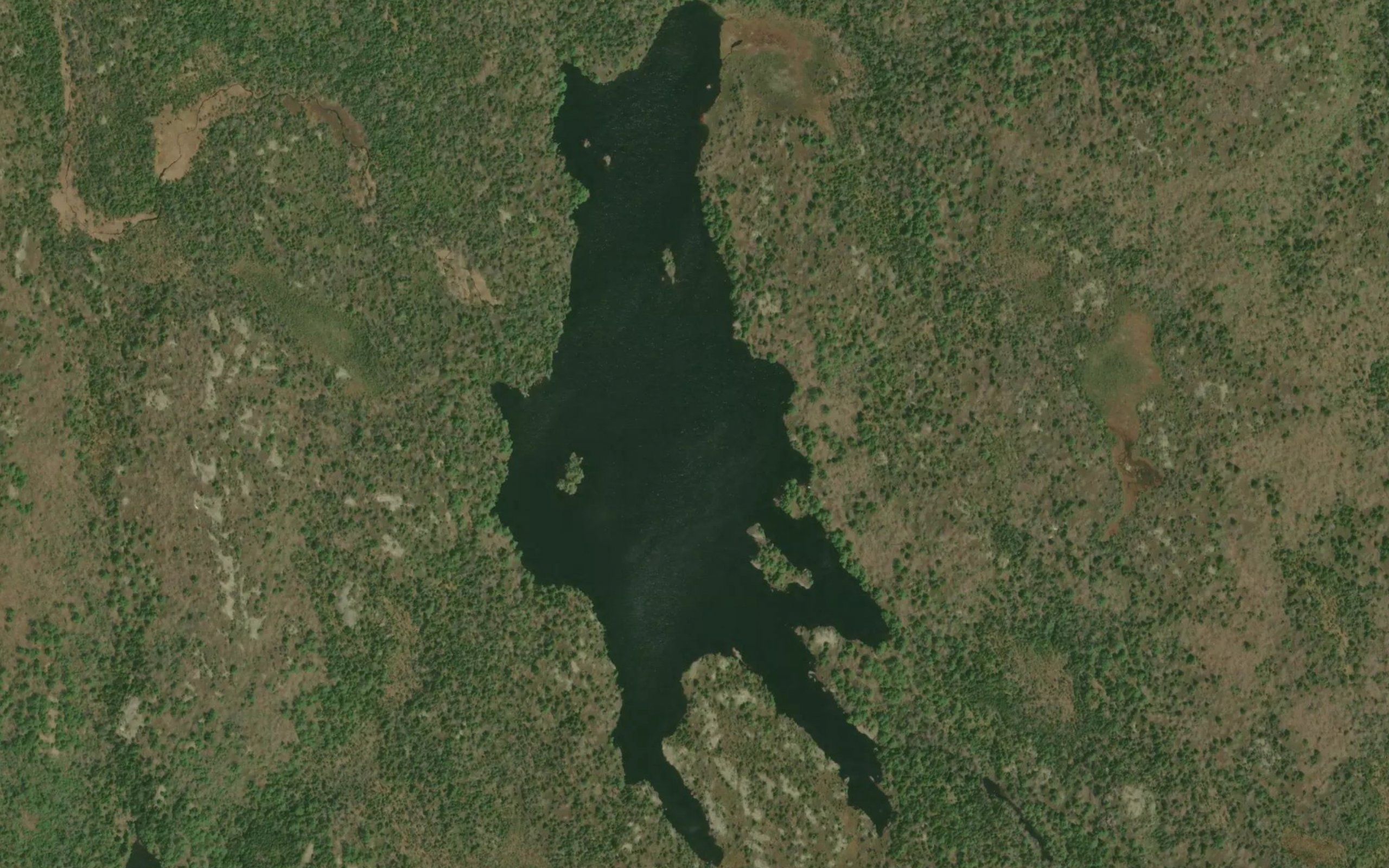 Poor Trout Lake