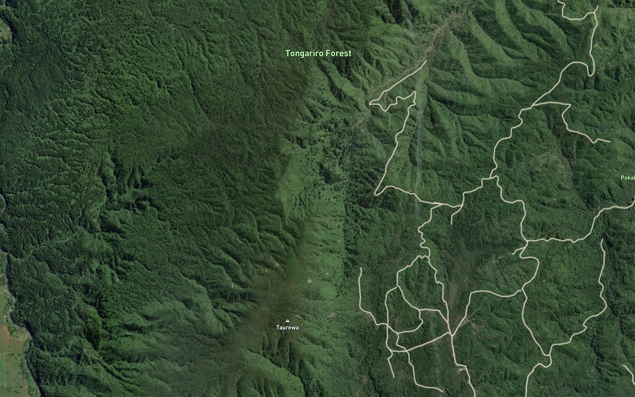 Waione Stream