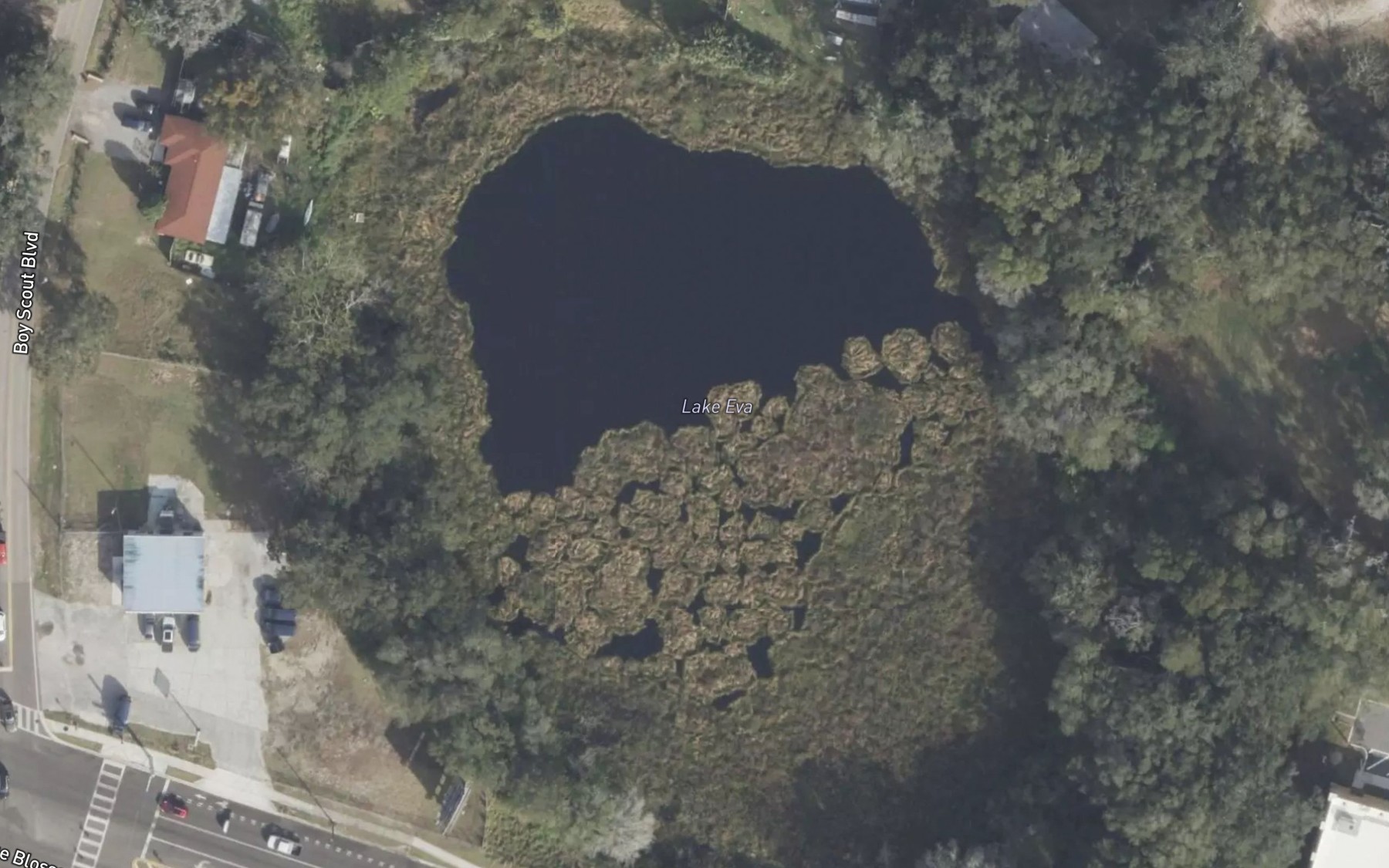 Satellite map of the Lake Eva