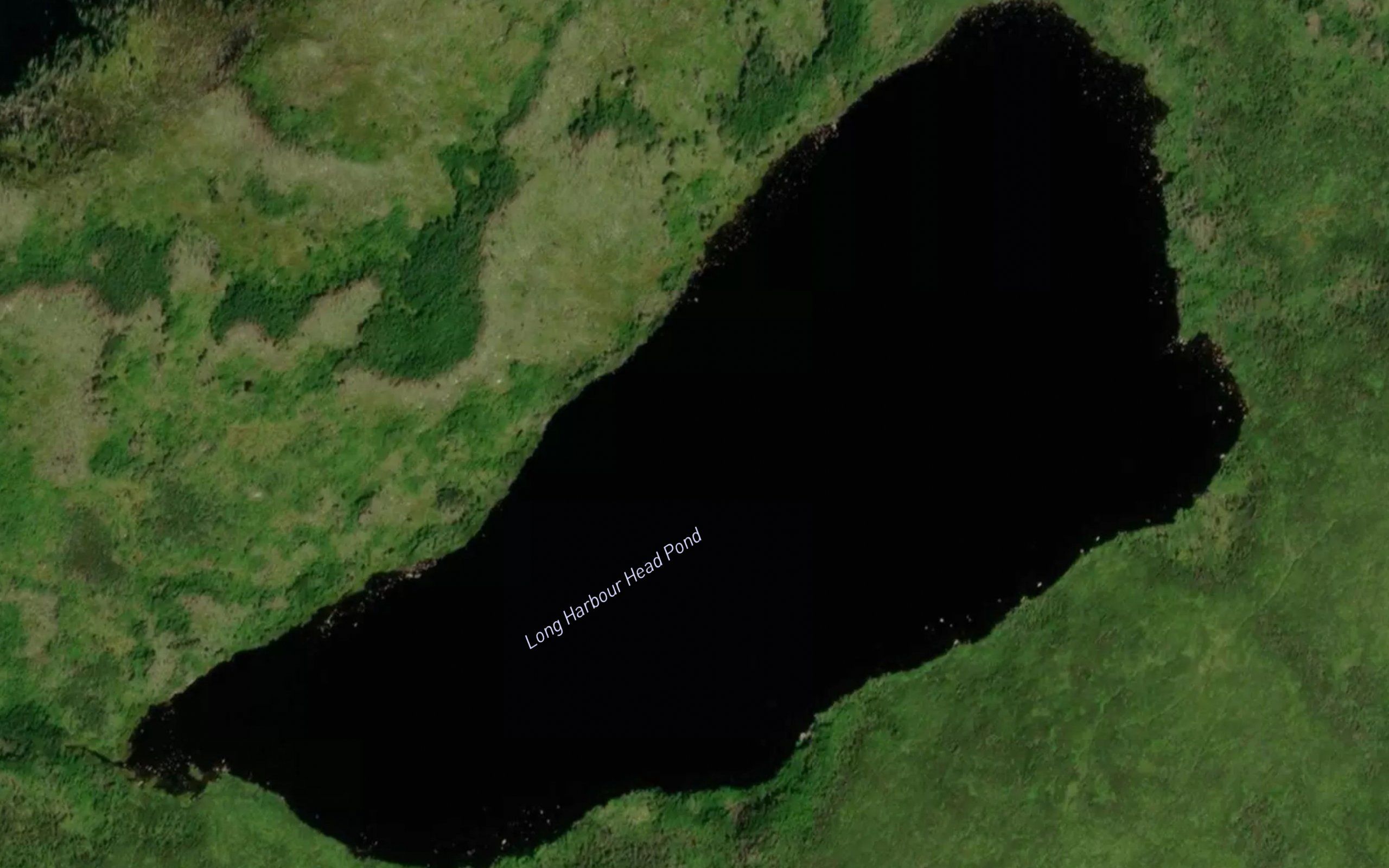 Long Harbour Head Pond