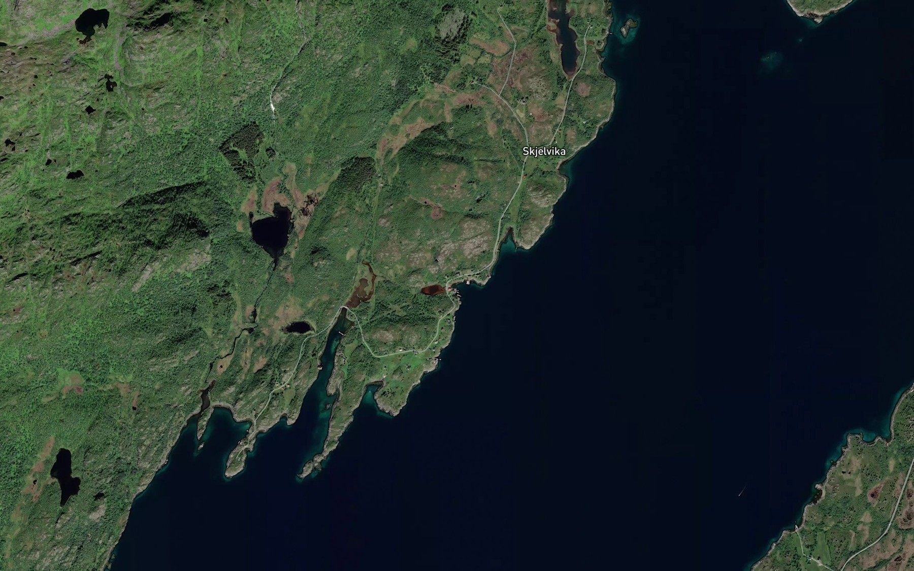 Satellite map of the Litjepollen
