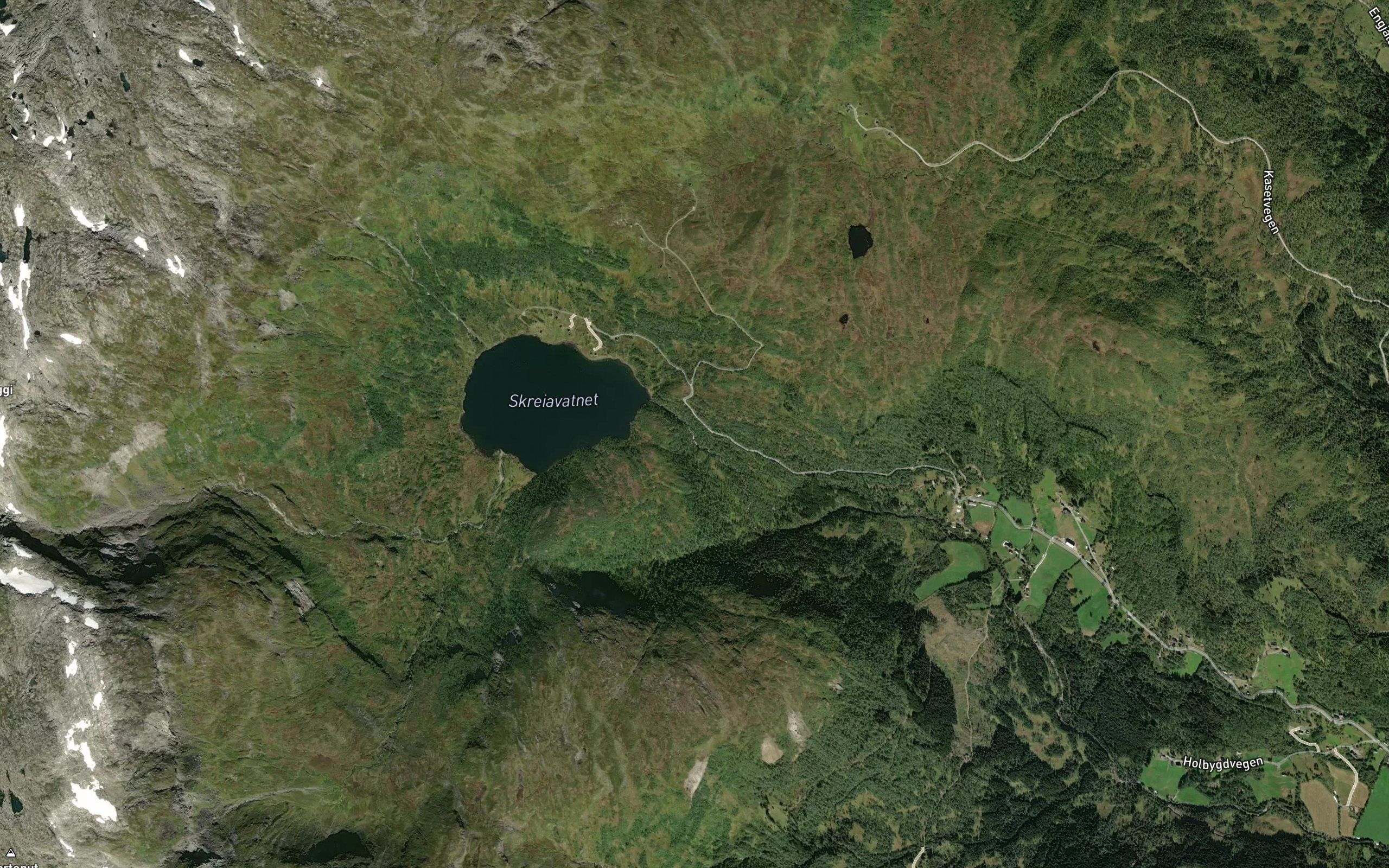 Skreielvi