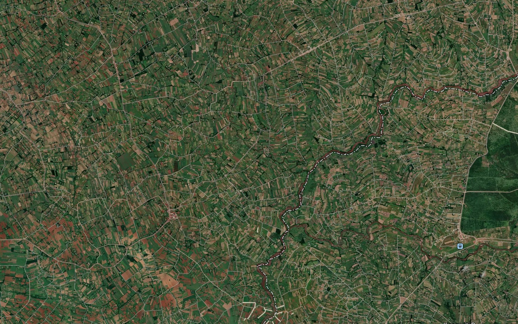 Satellite map of the Misimo