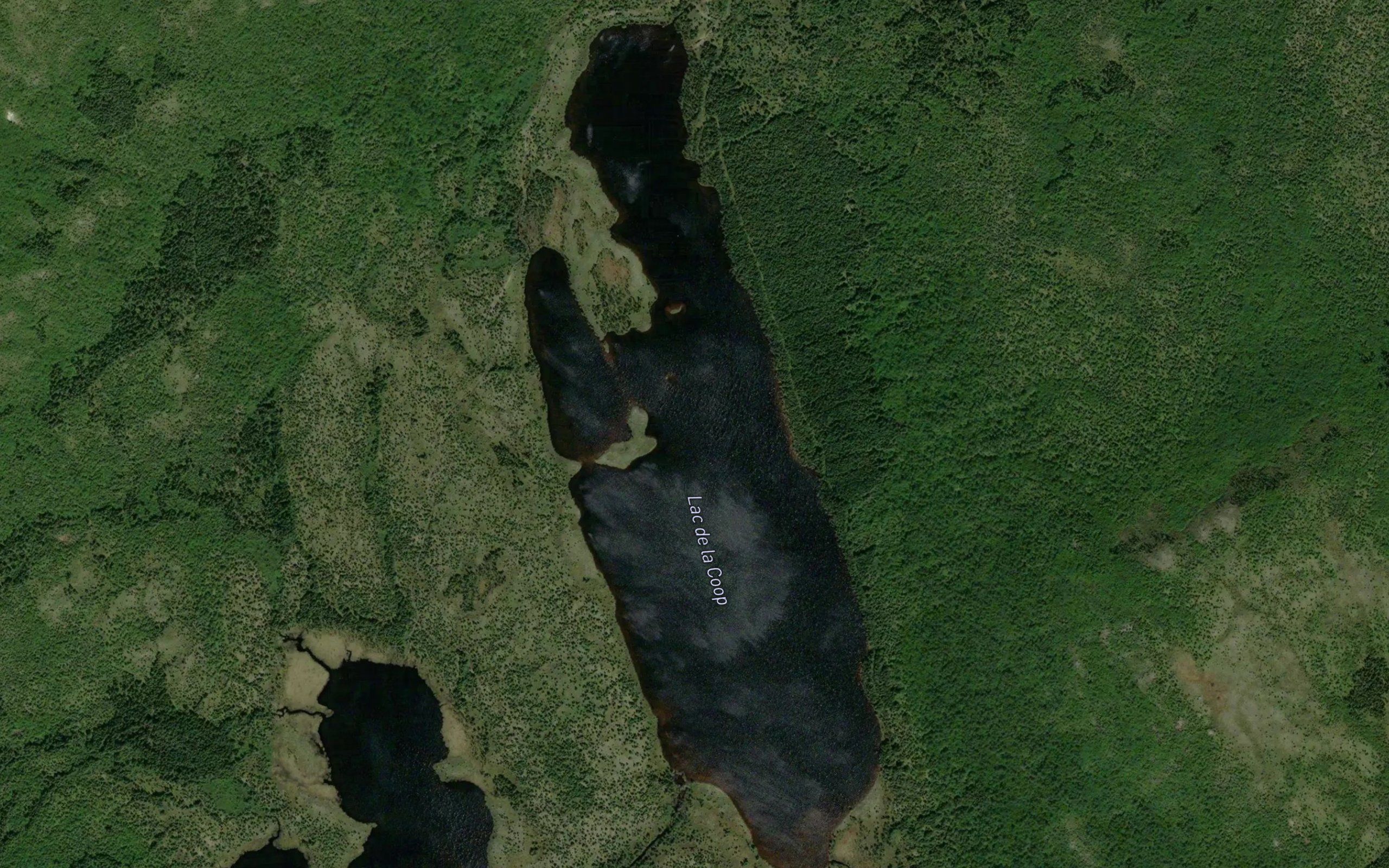 Lac de la Coop