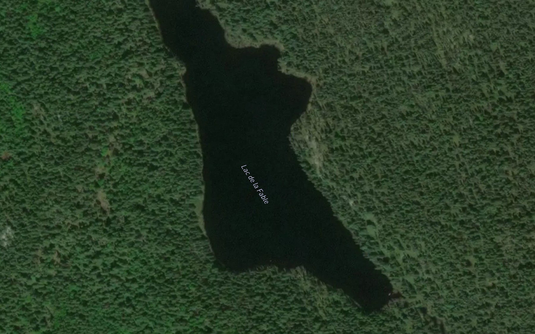 Satellite map of the Lac de la Fable