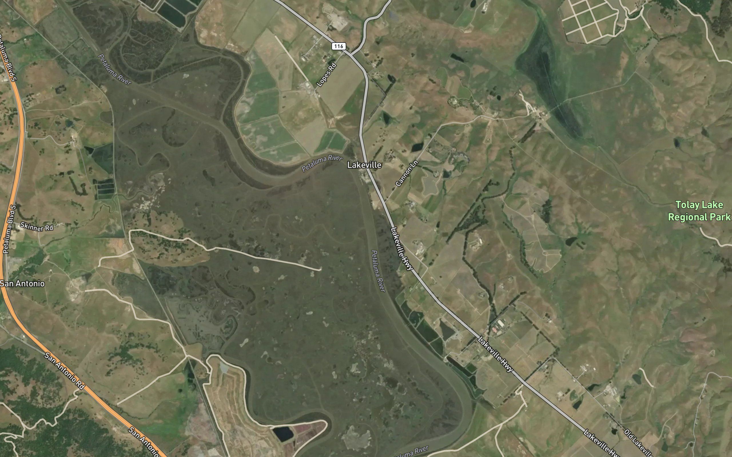 Tule Slough