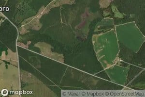 Machine Branch