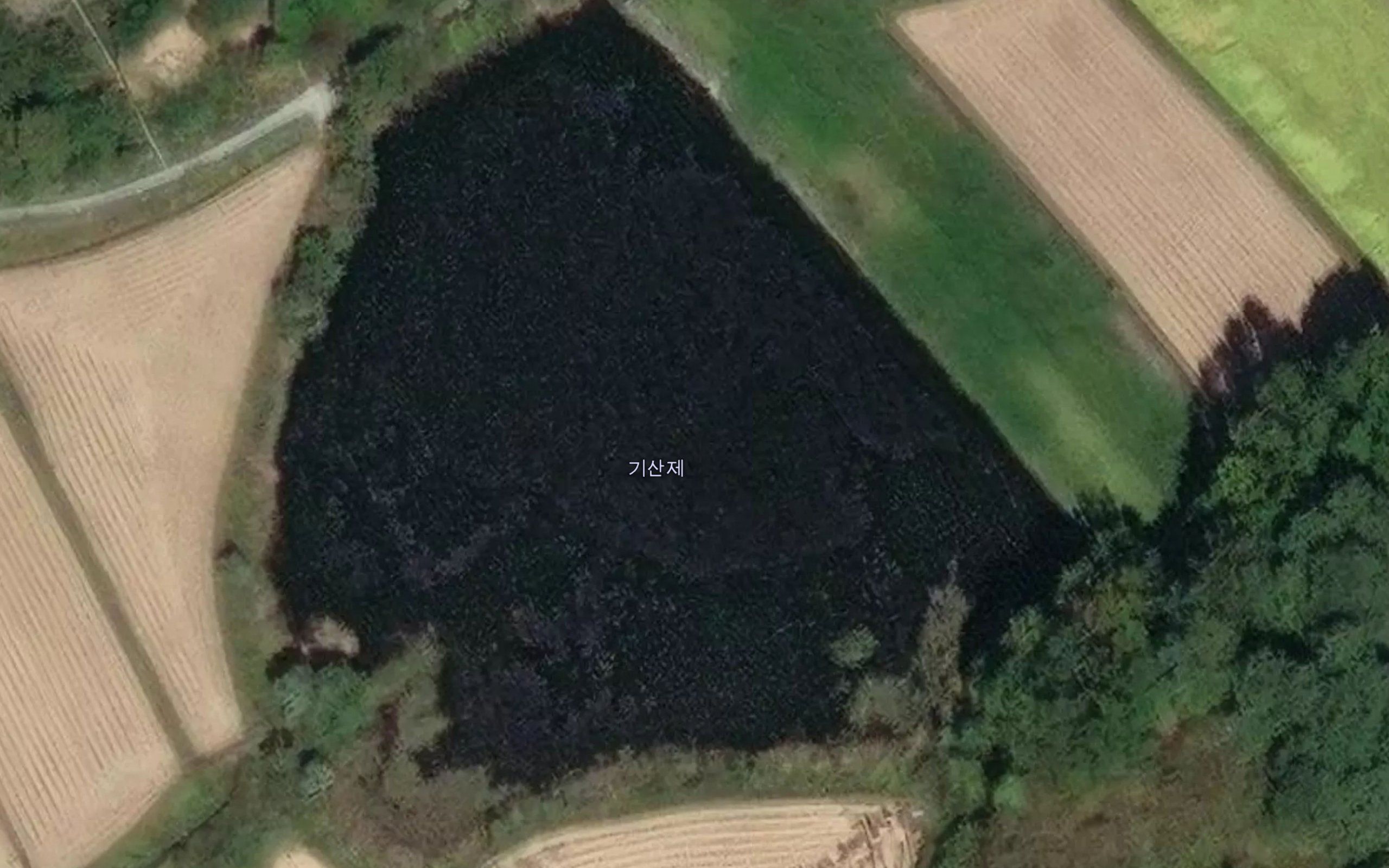 Gisanje