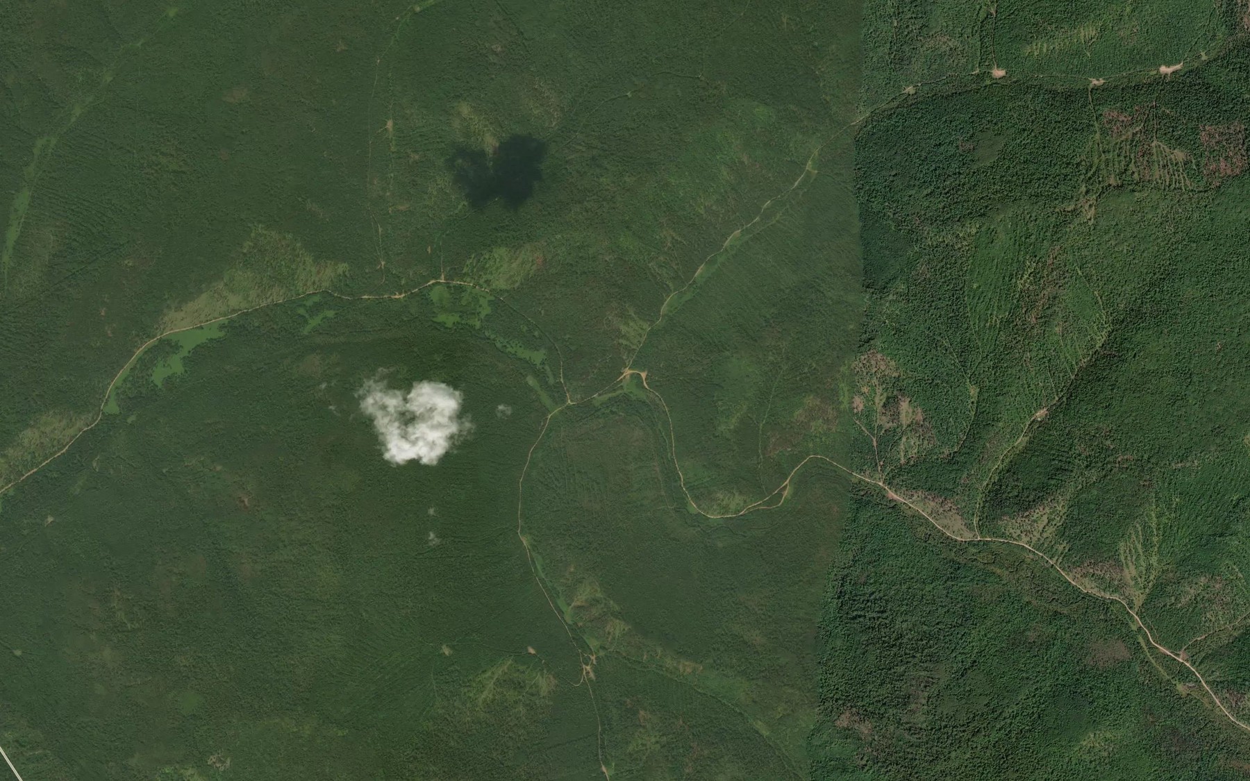 Satellite map of the Nikitina