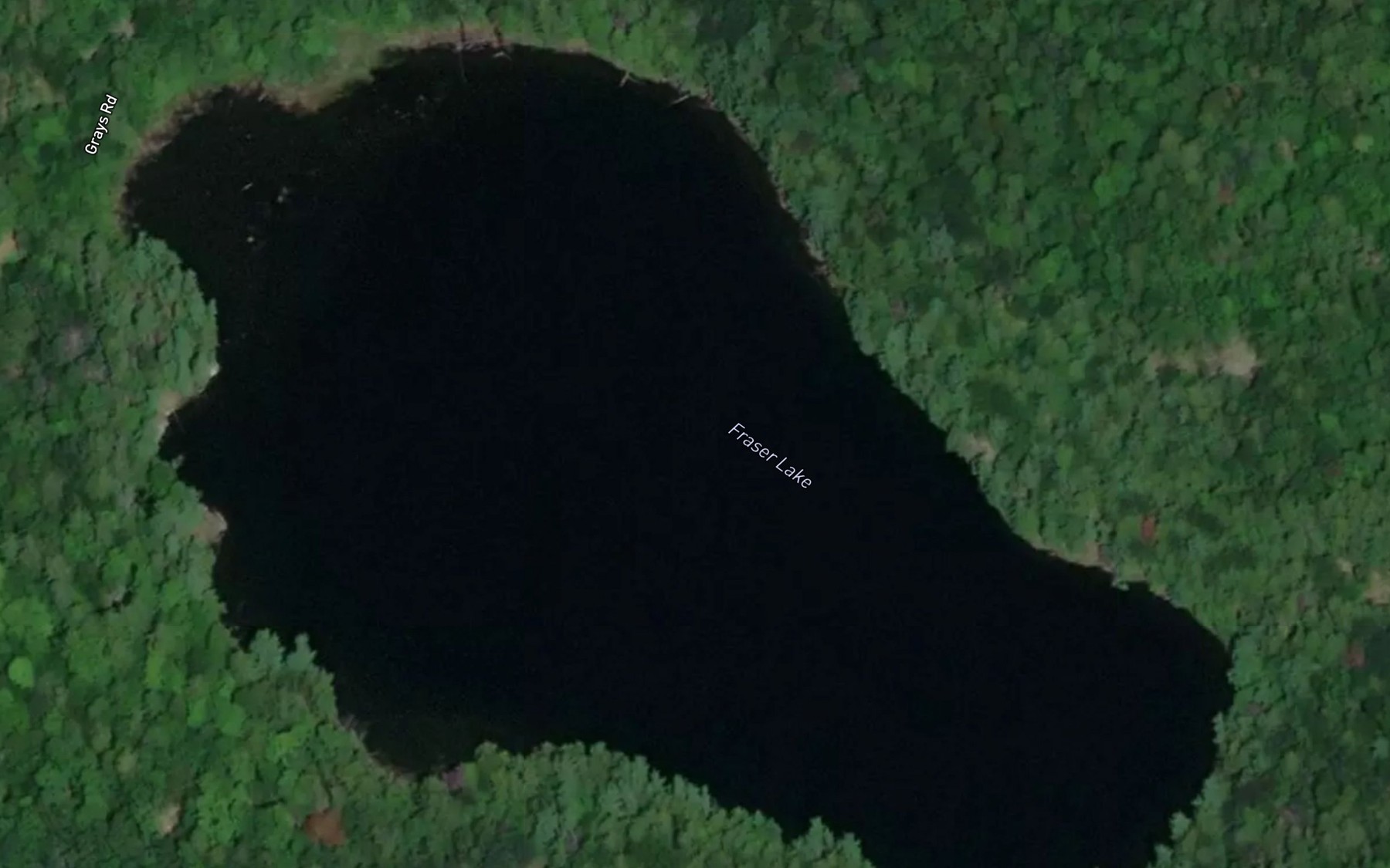 Satellite map of the Fraser Lake