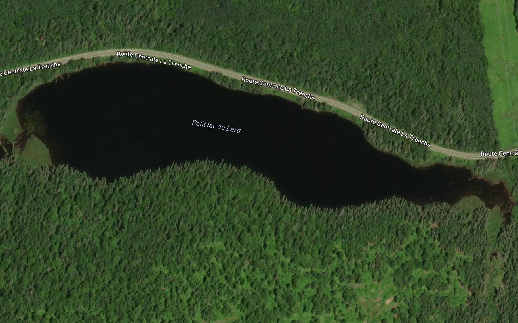 Satellite map of the Petit lac au Lard