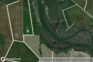 Turtle Slough
