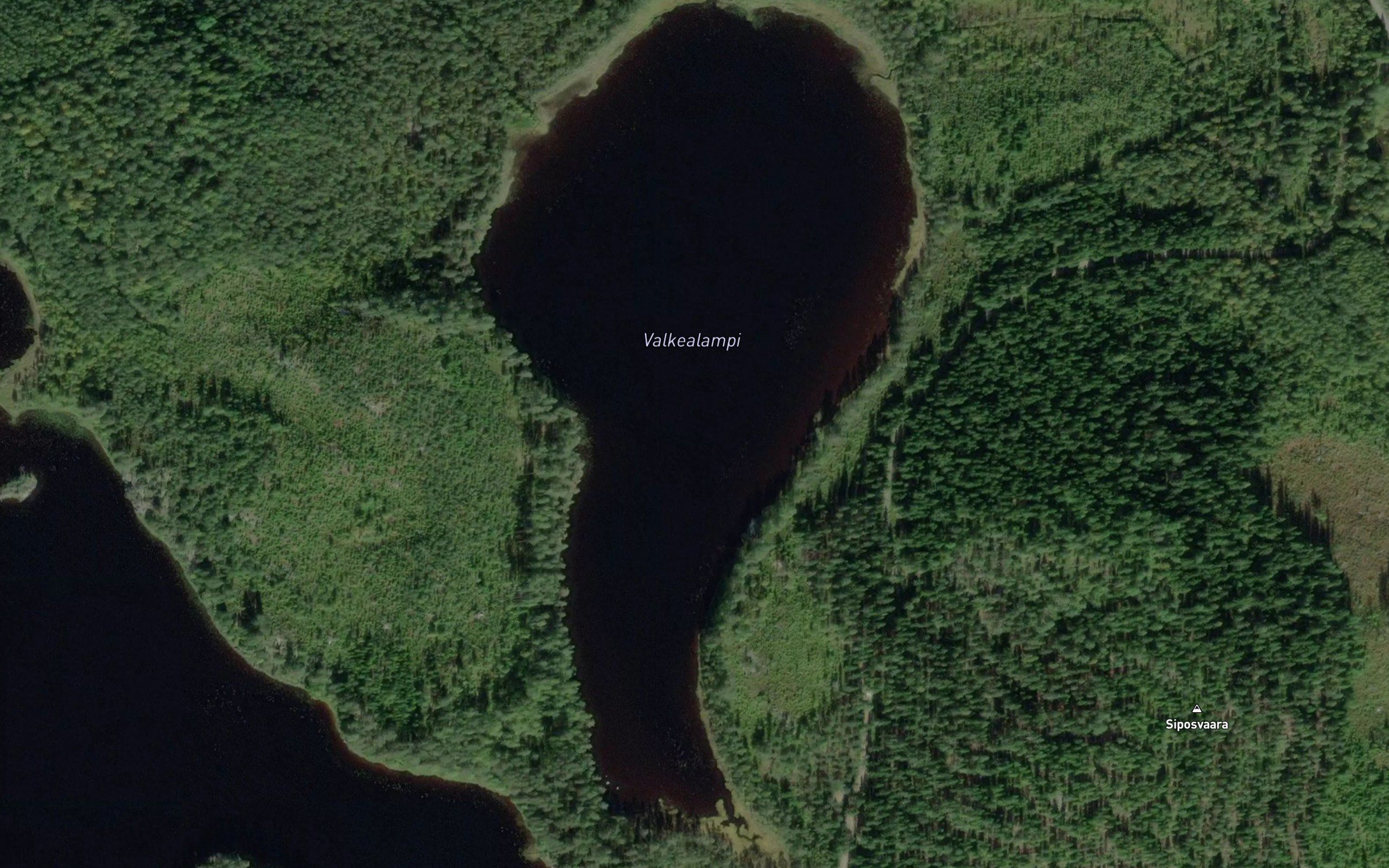 Valkealampi