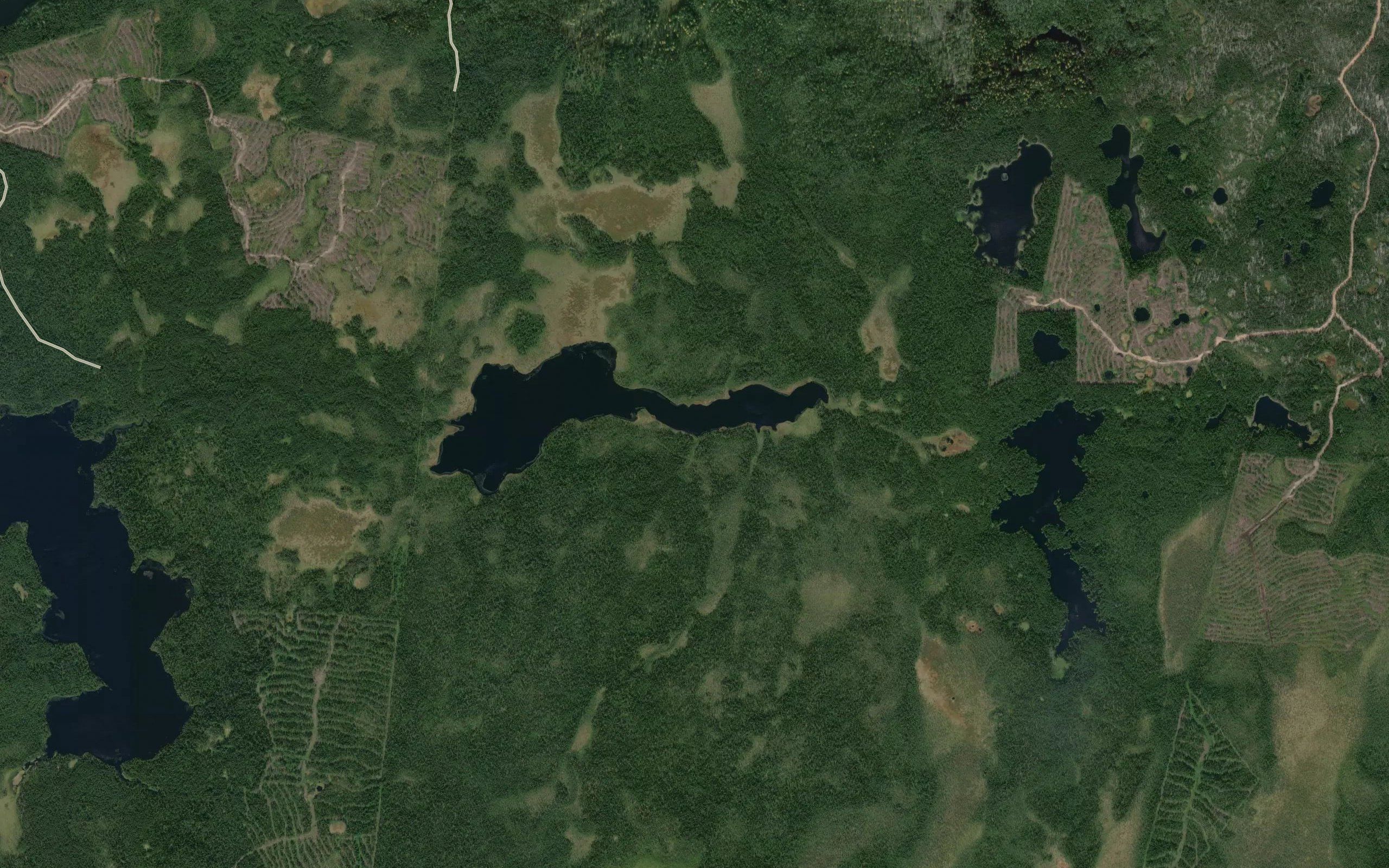 Ozero Krivoye