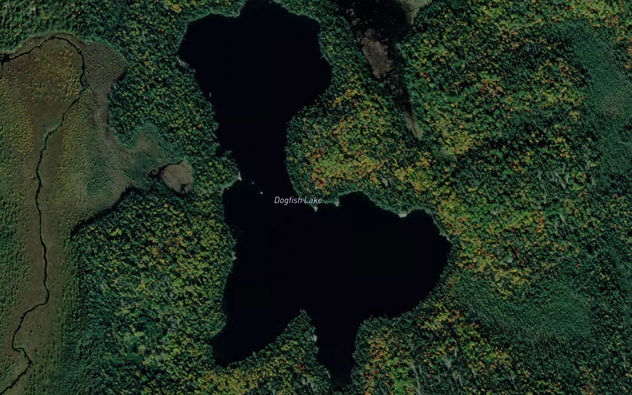 Dogfish Lake