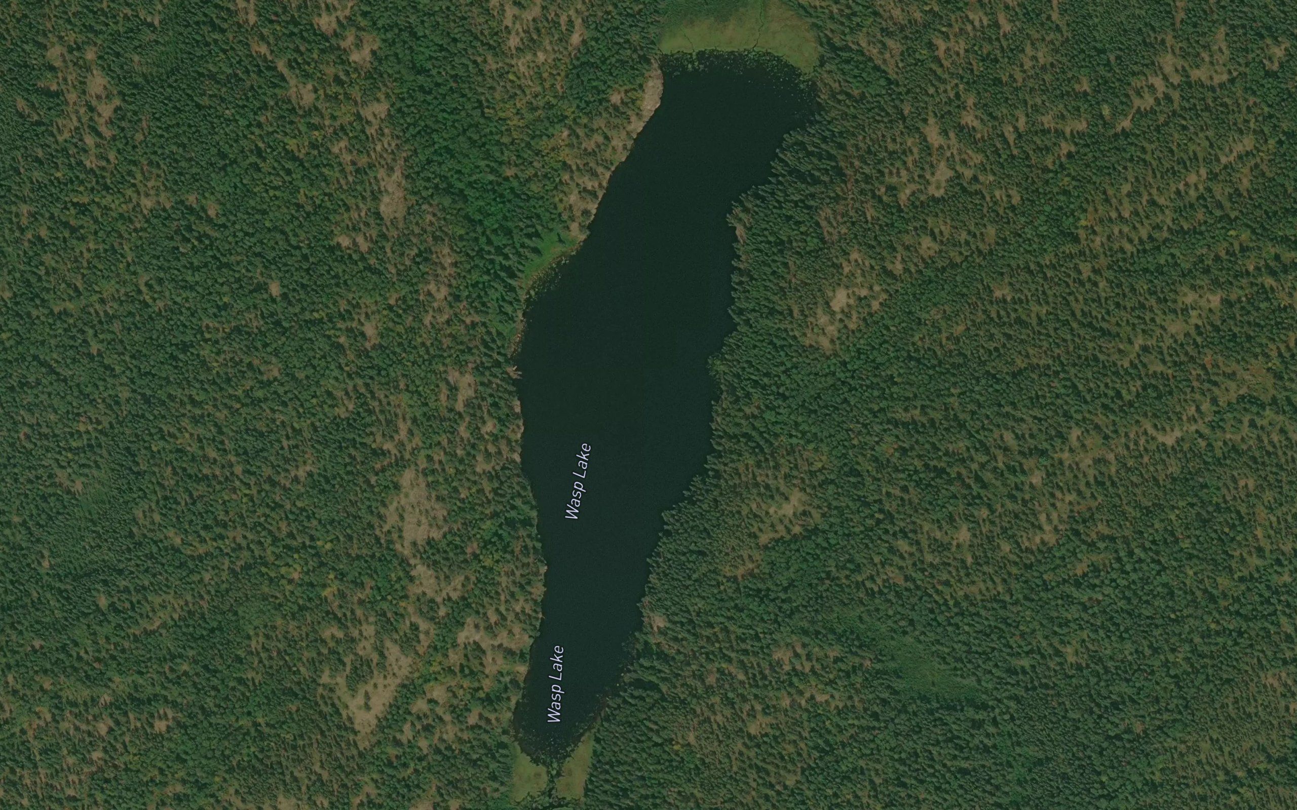 Wasp Lake