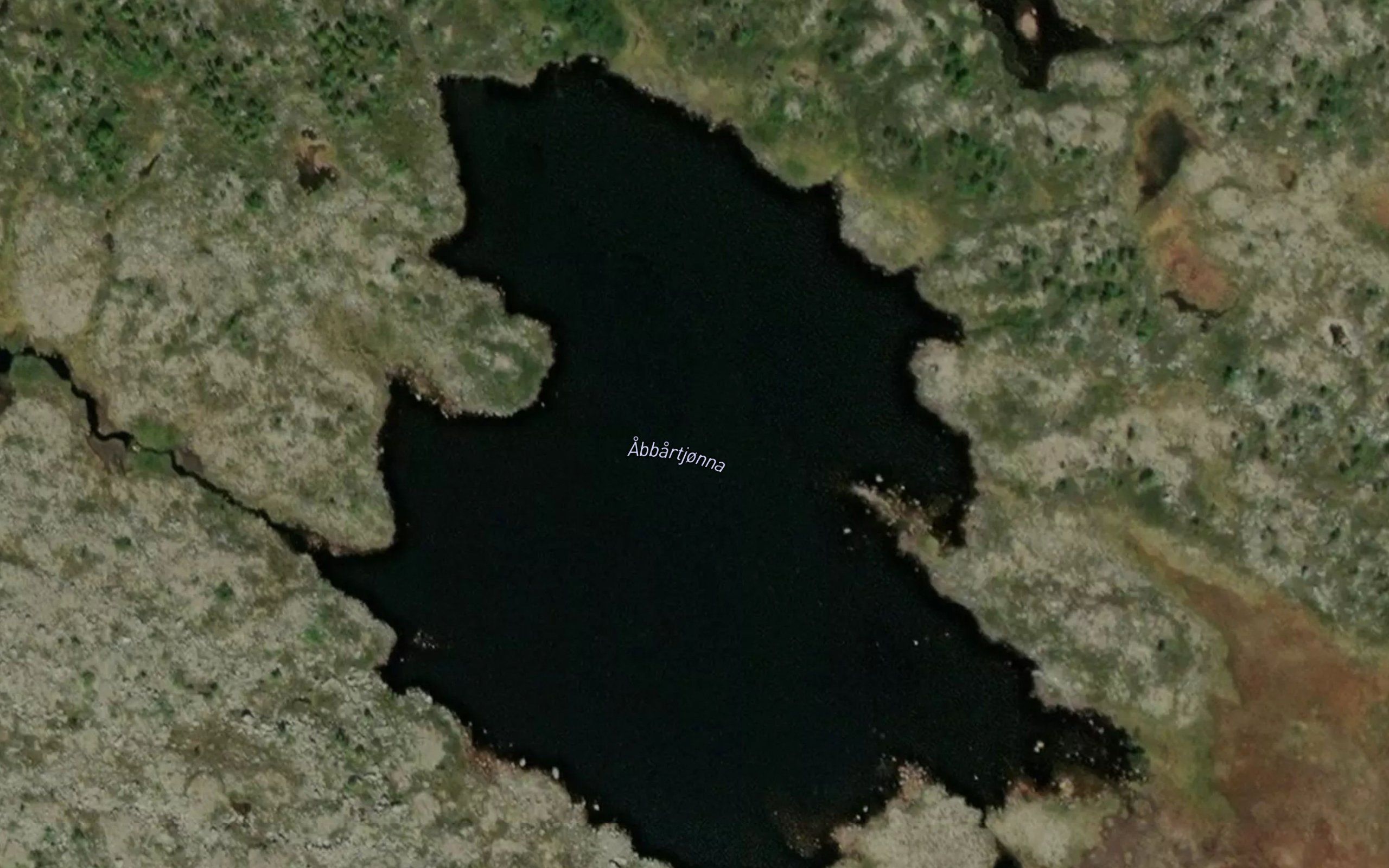Abbortjorna