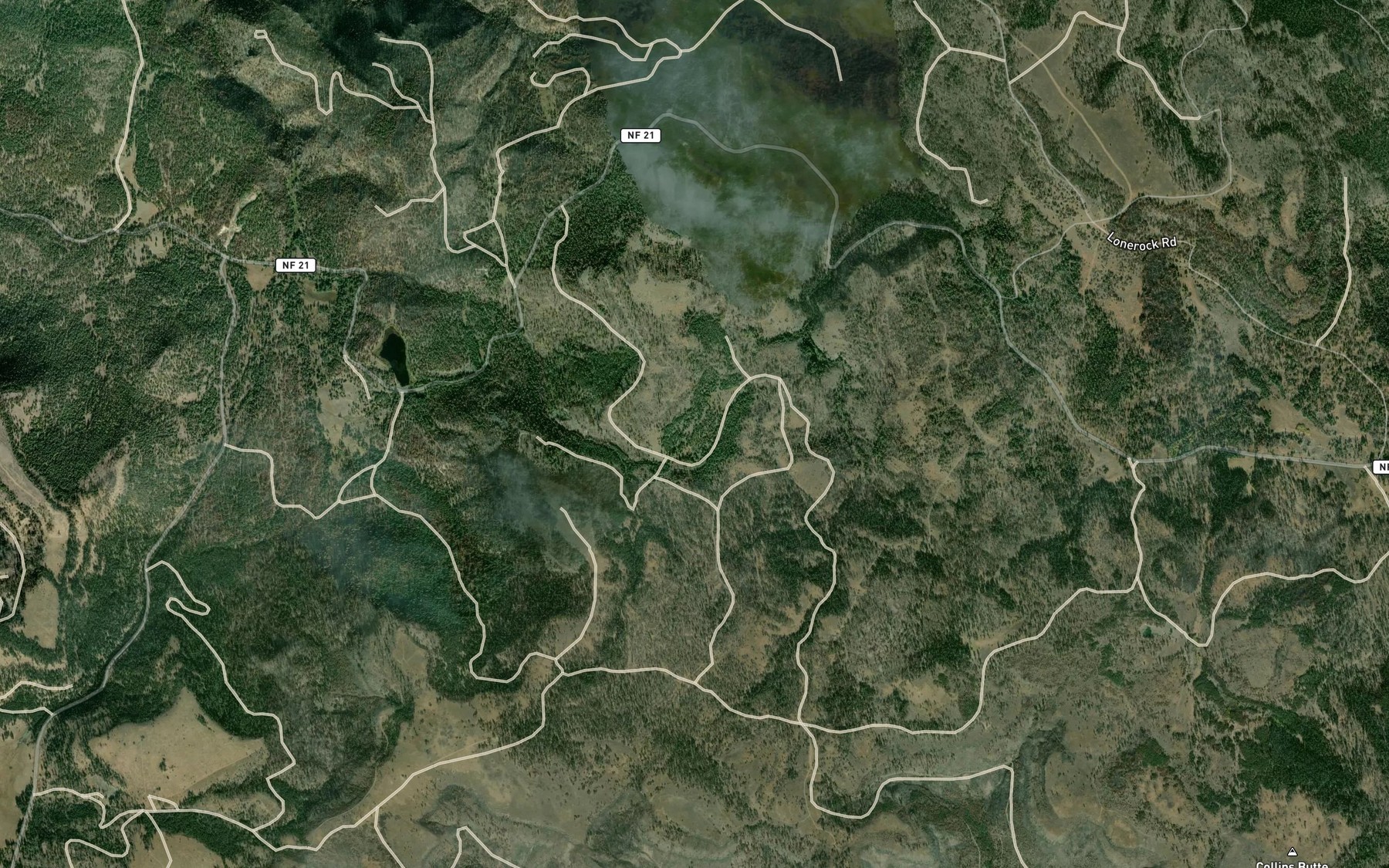 Satellite map of the Yellowjacket Spring