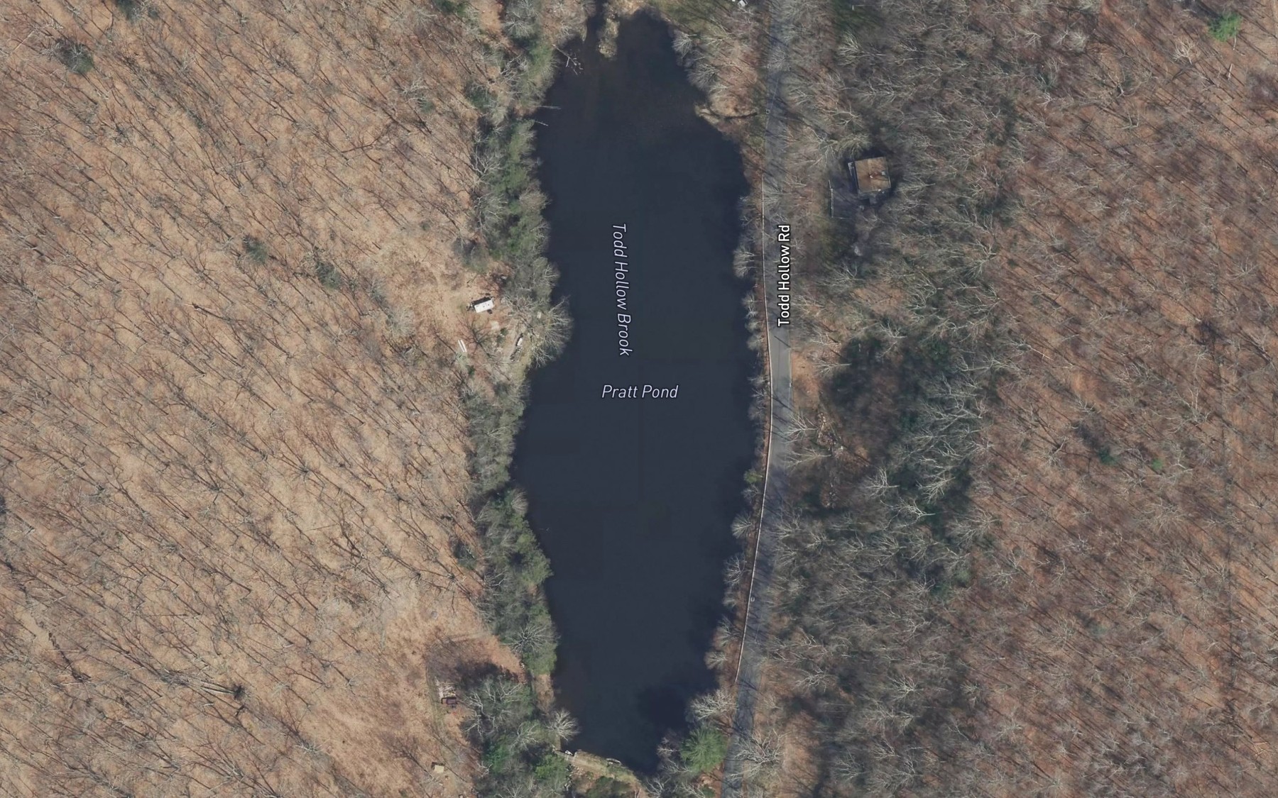 Satellite map of the Pratt Pond