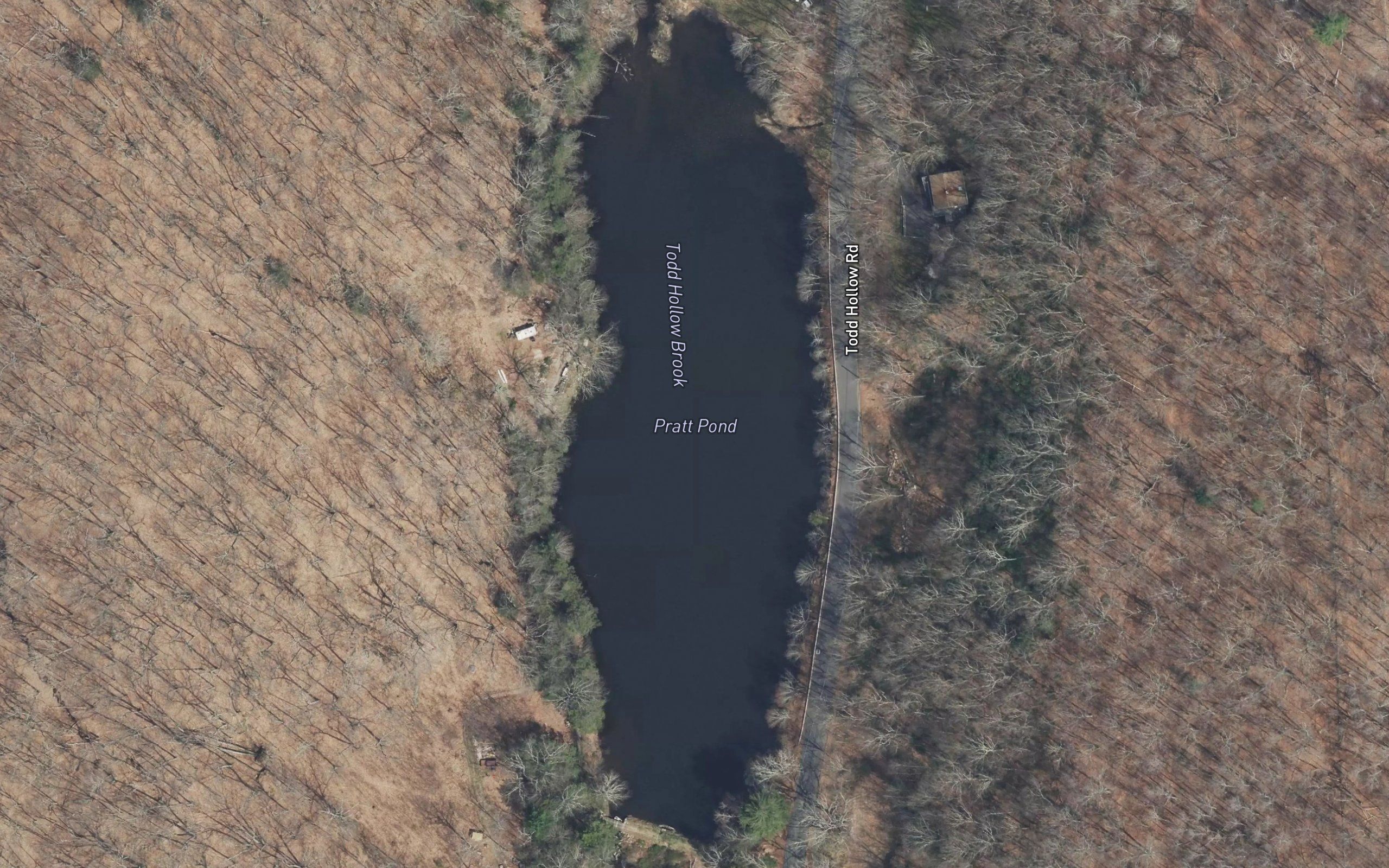 Pratt Pond