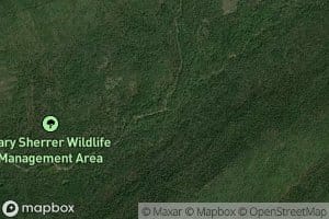 Winslow Creek