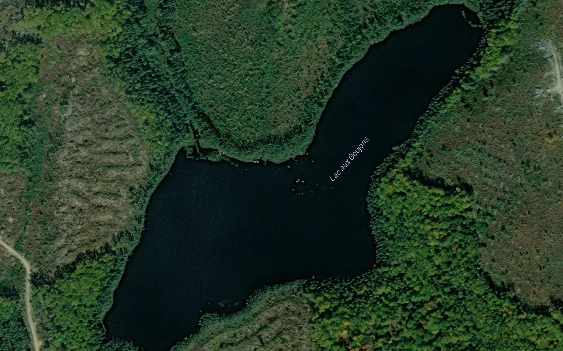 Satellite map of the Lac aux Goujons