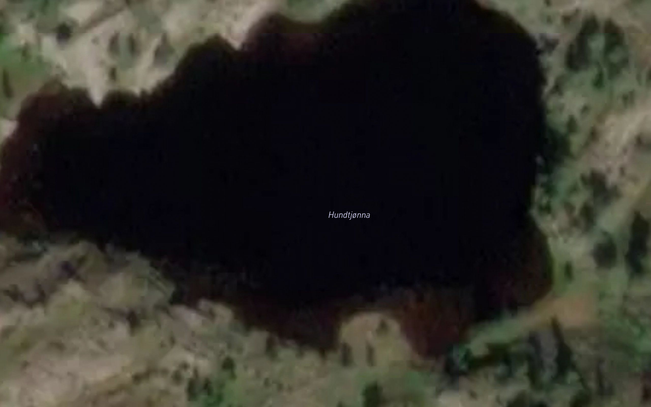 Hundtjorna