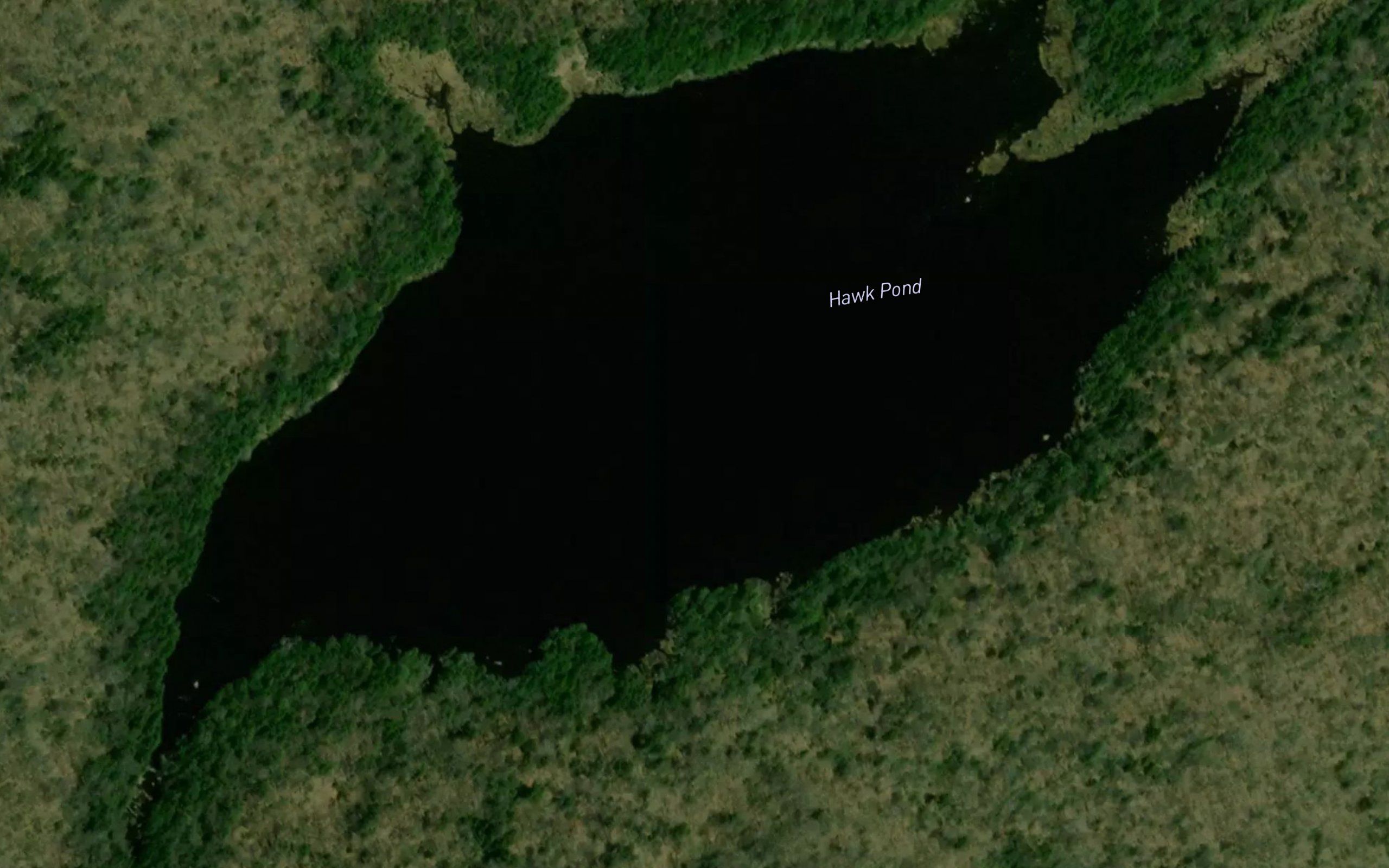 Hawk Pond