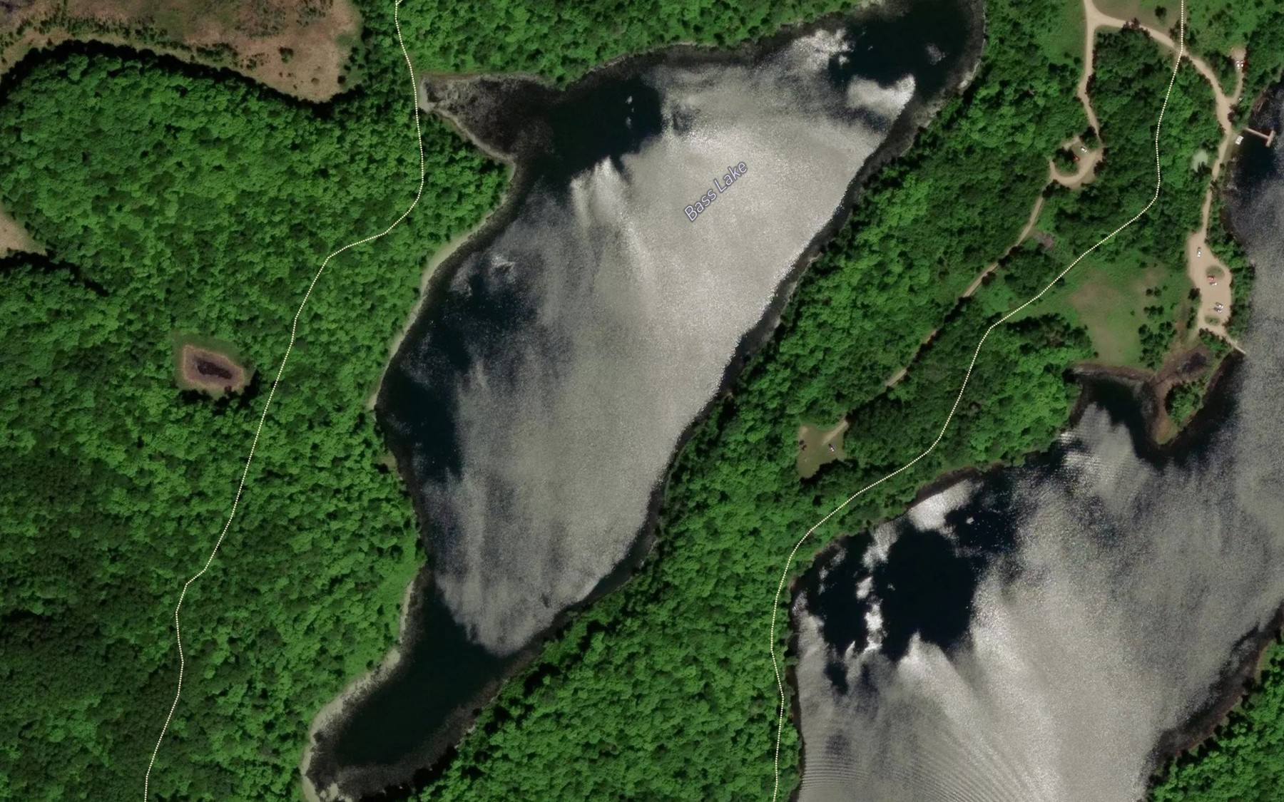 Satellite map of the Bass Lake