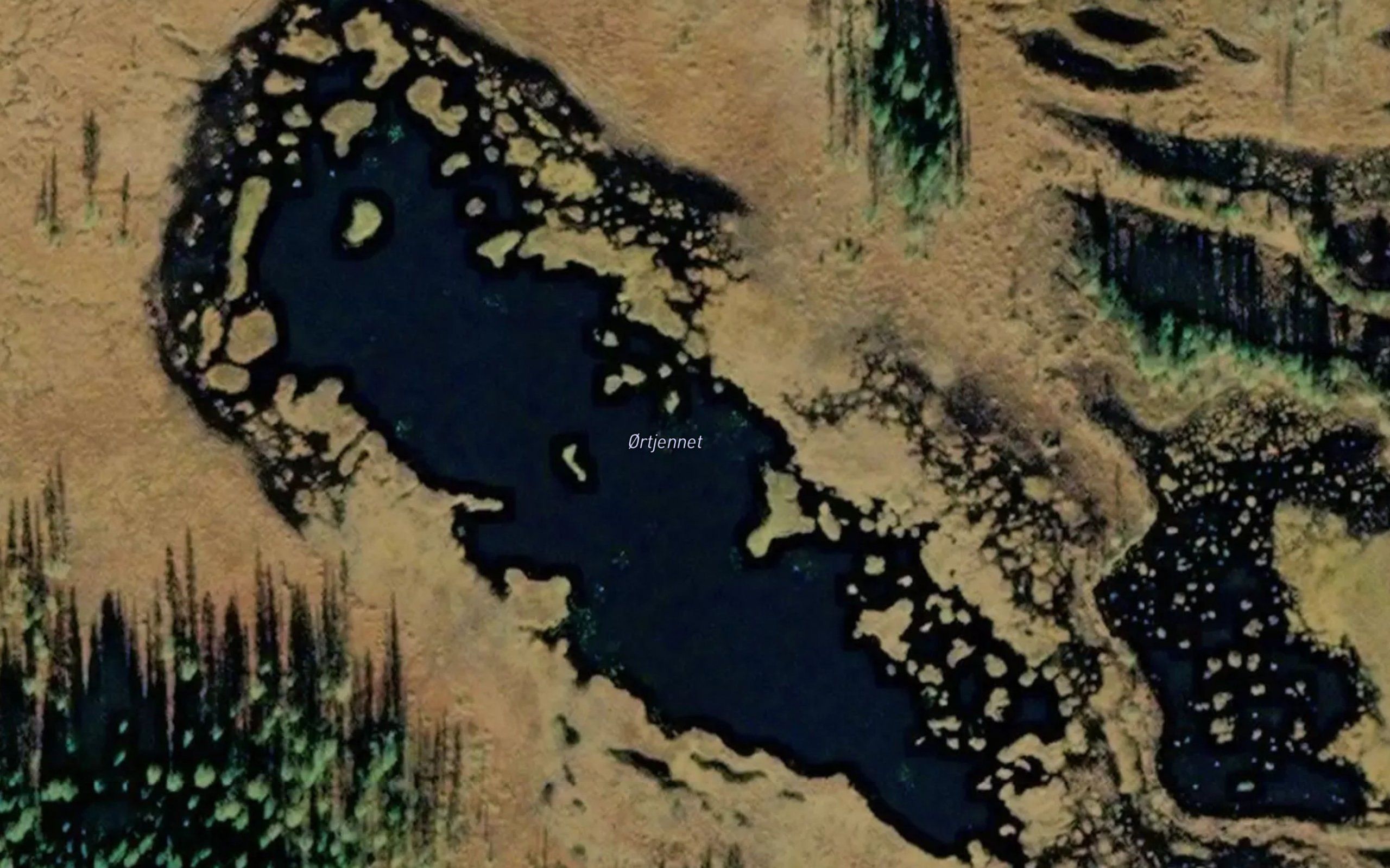Ortjernet