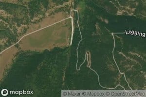 Logging Creek