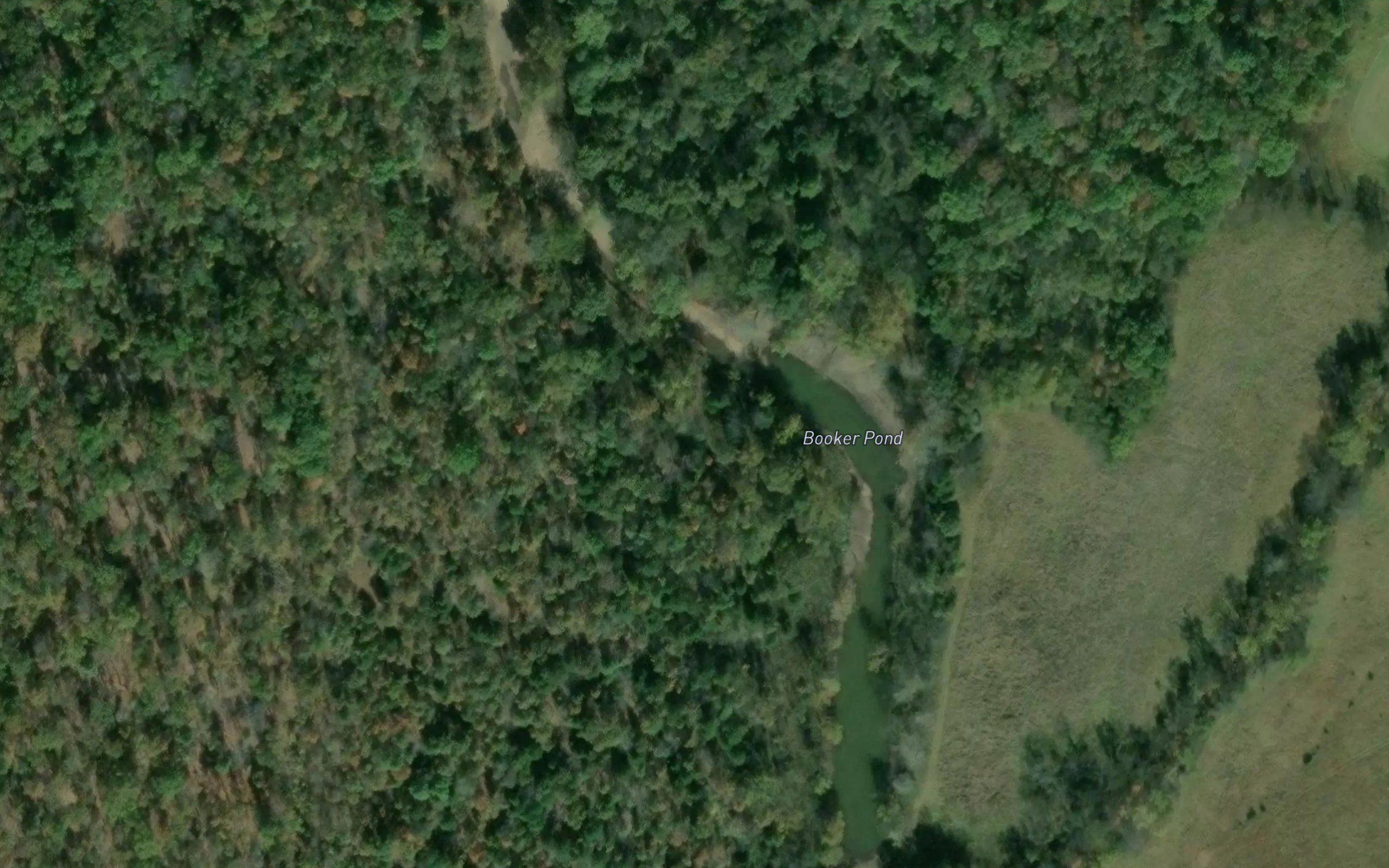 Booker Pond