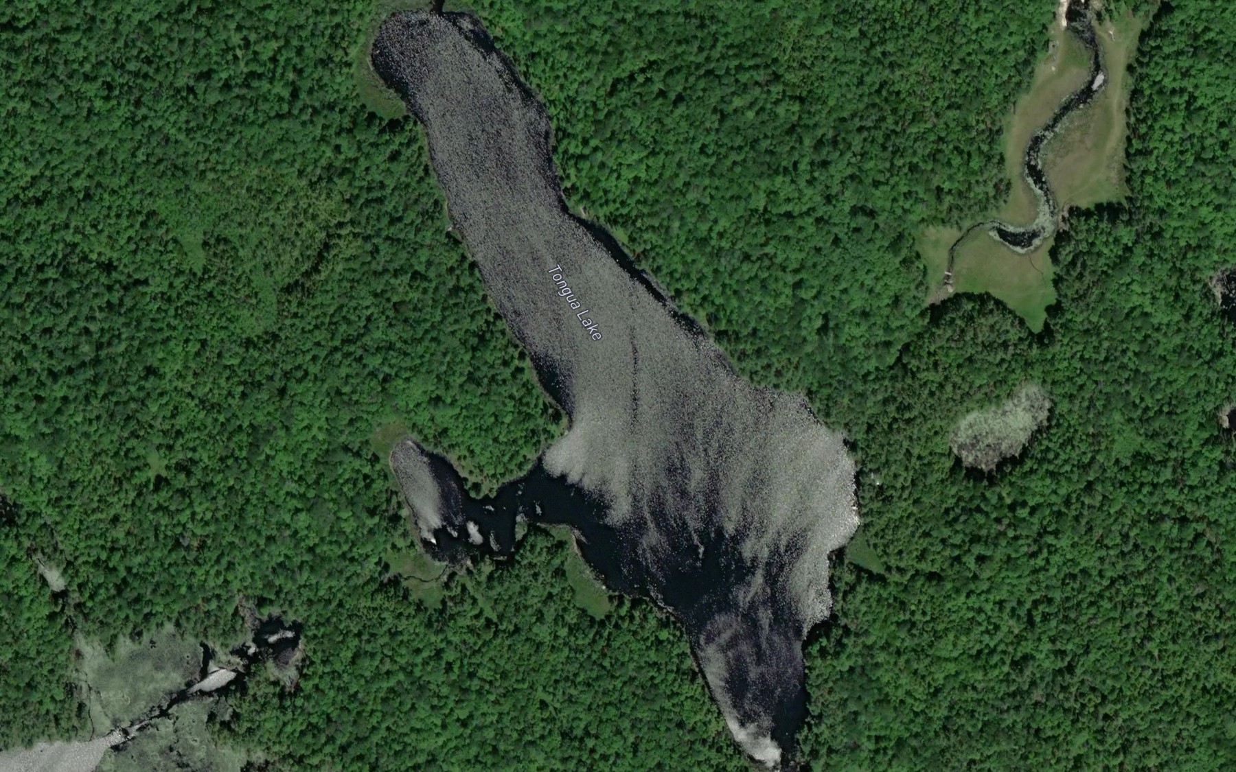Satellite map of the Tongua Lake
