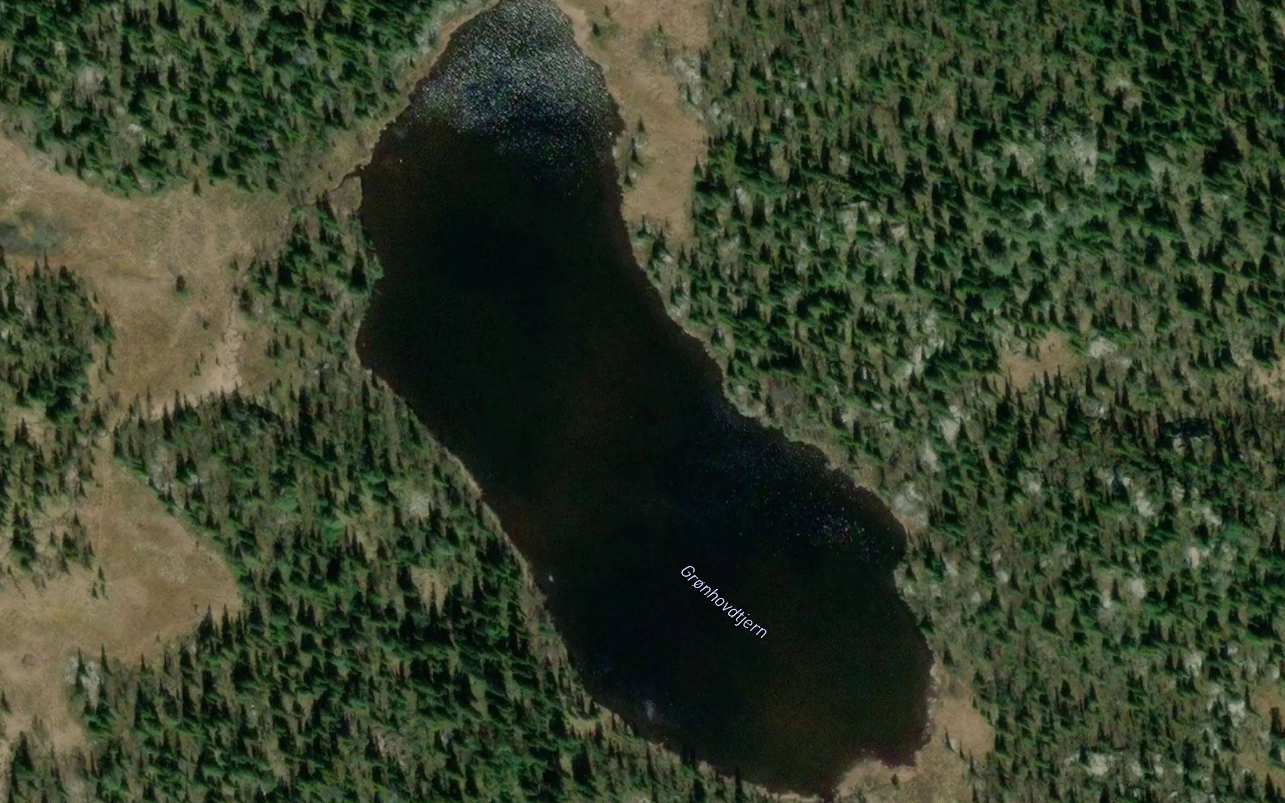 Gronhovdtjernet