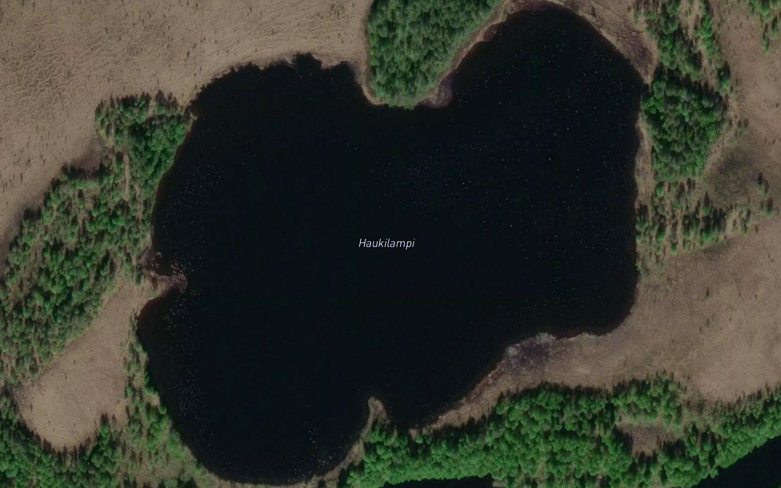 Haukilampi