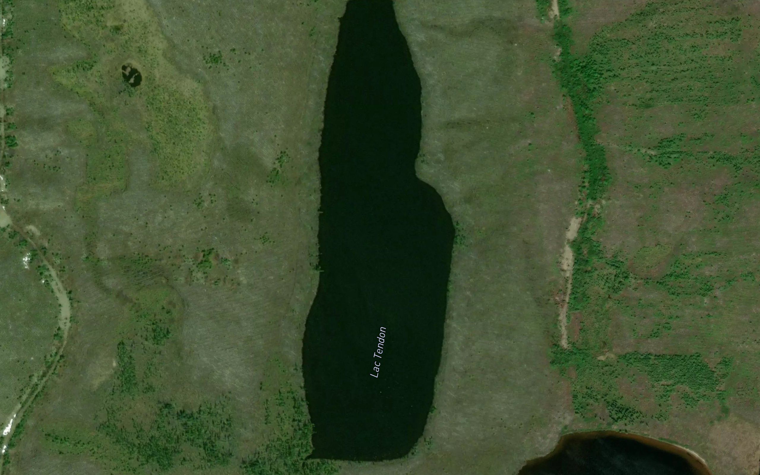 Lac Tendon