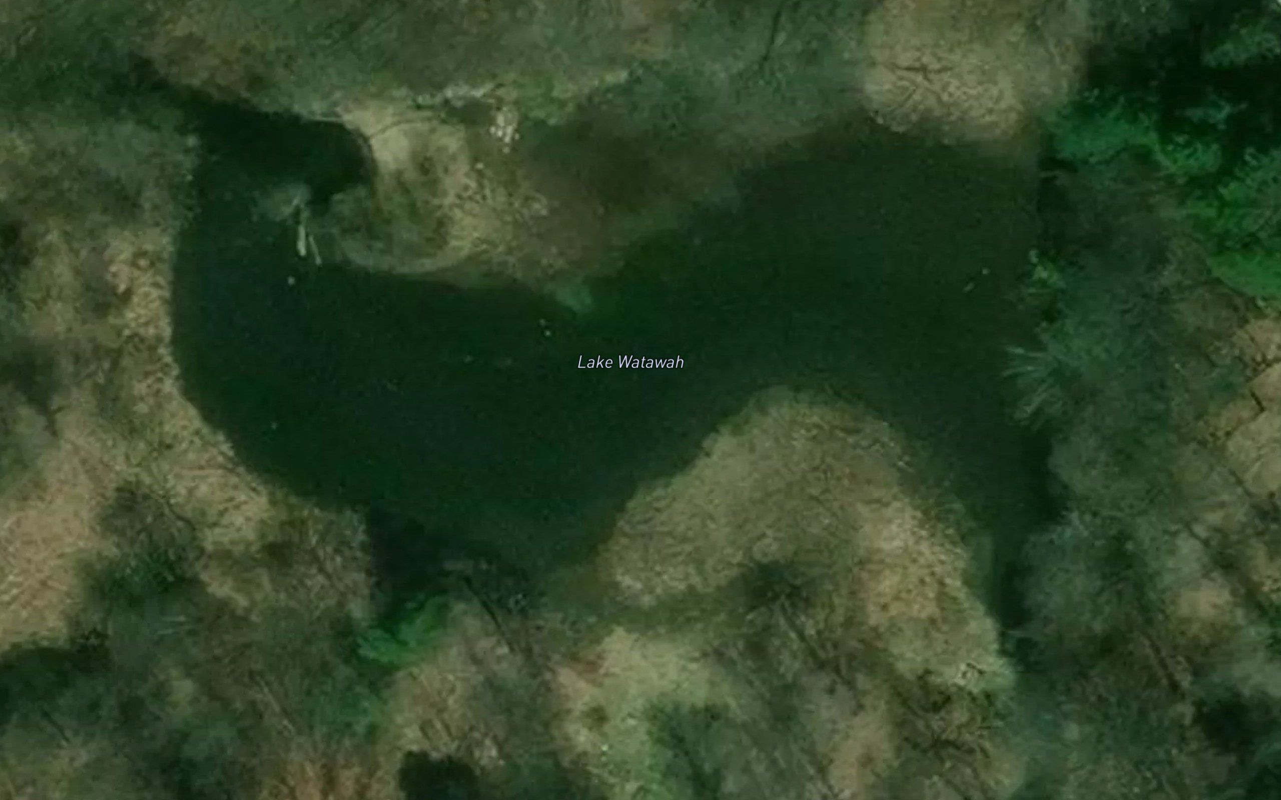 Lake Watawah