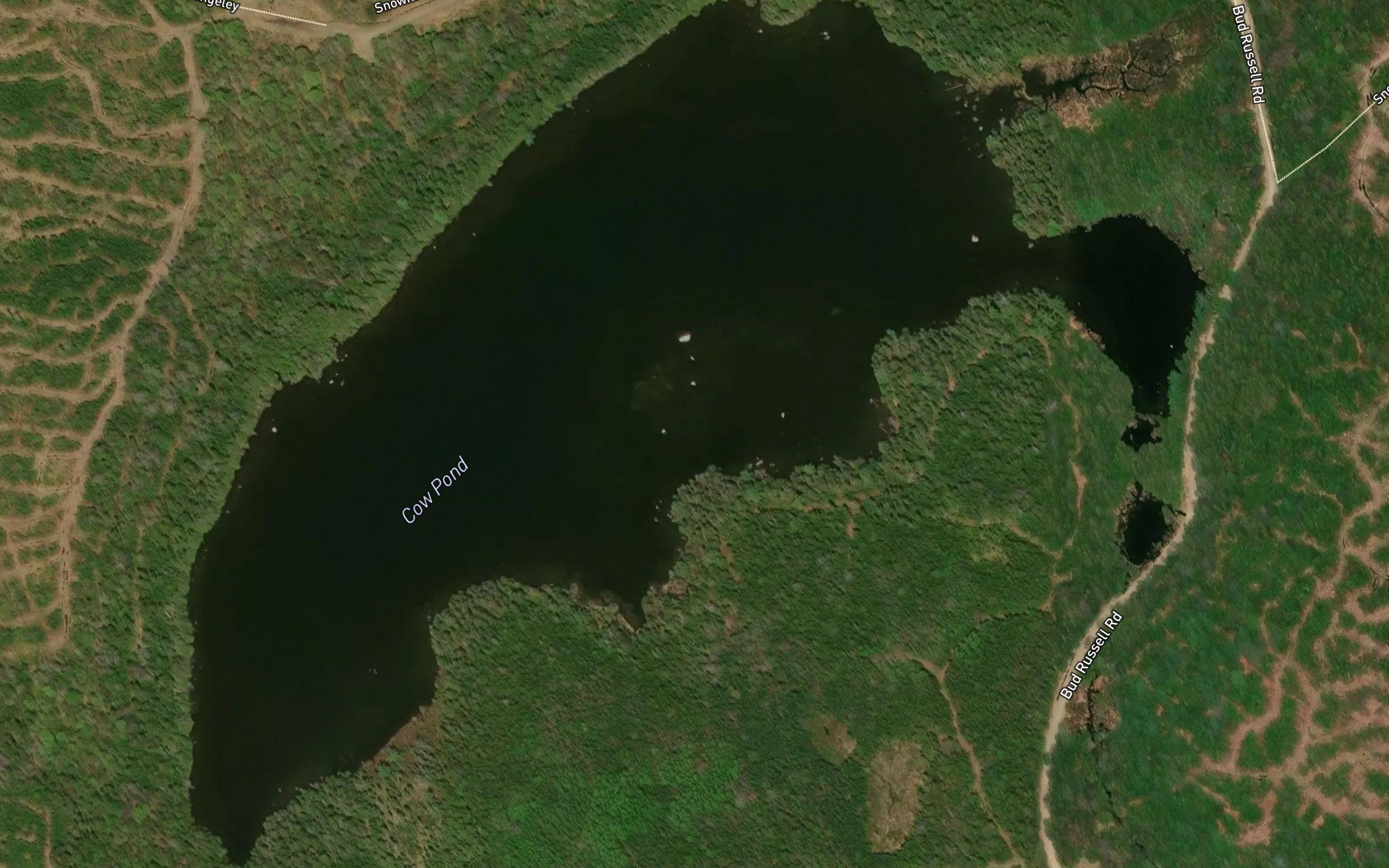 Cow Pond