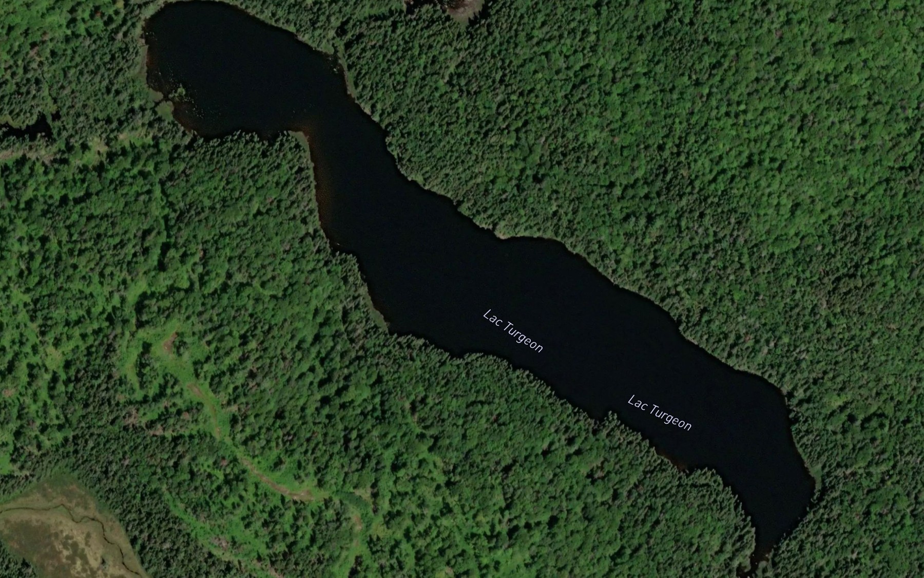 Satellite map of the Lac Turgeon