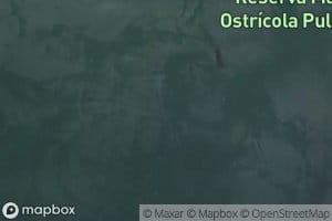 Golfo de Quetalmahue