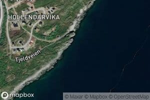 Hollendarvika