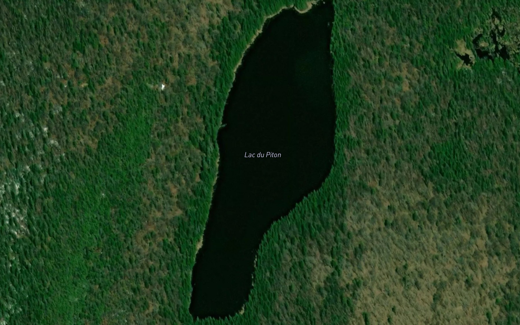 Satellite map of the Lac du Piton
