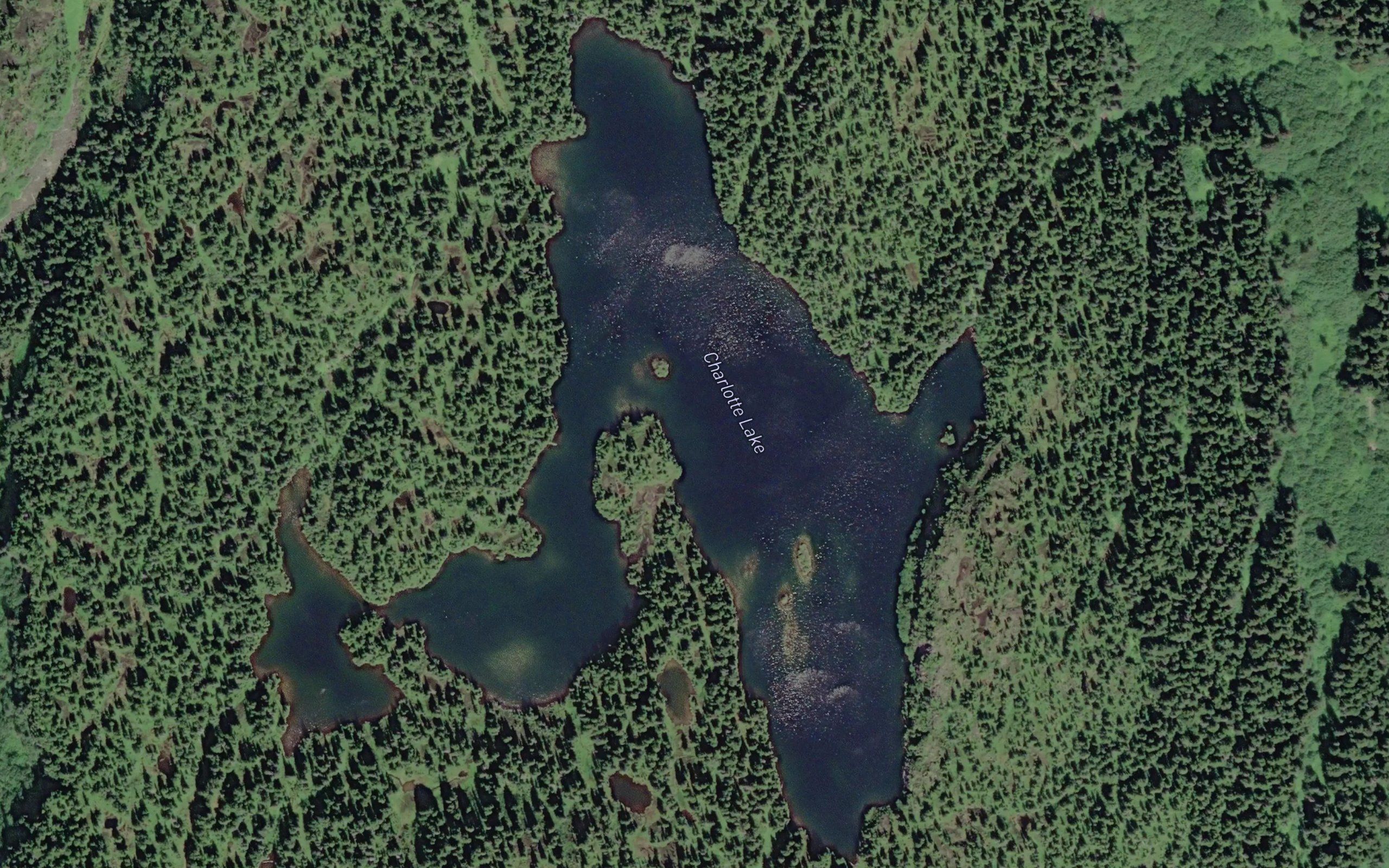 Charlotte Lake