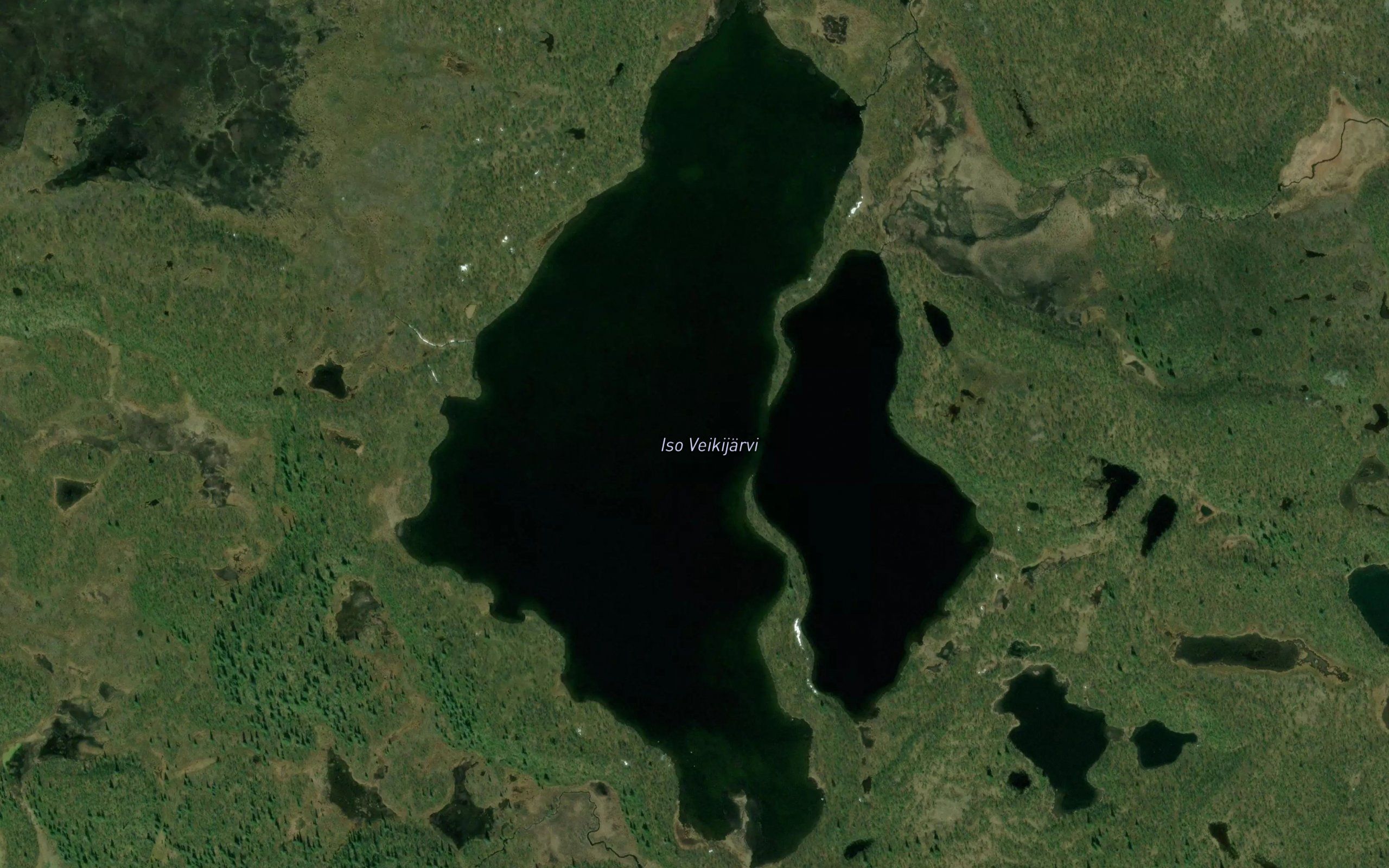 Iso Veikijaure