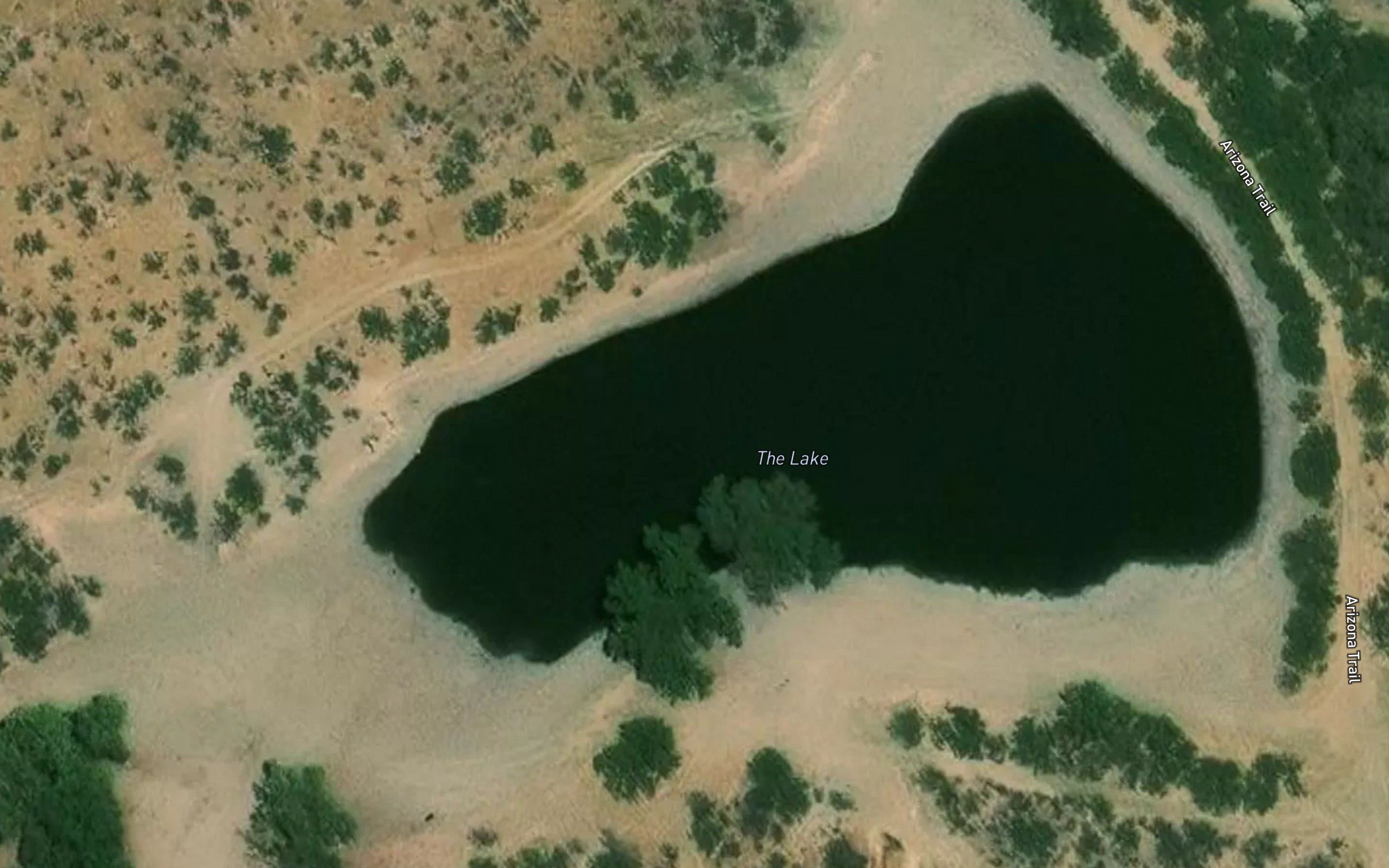 The Lake