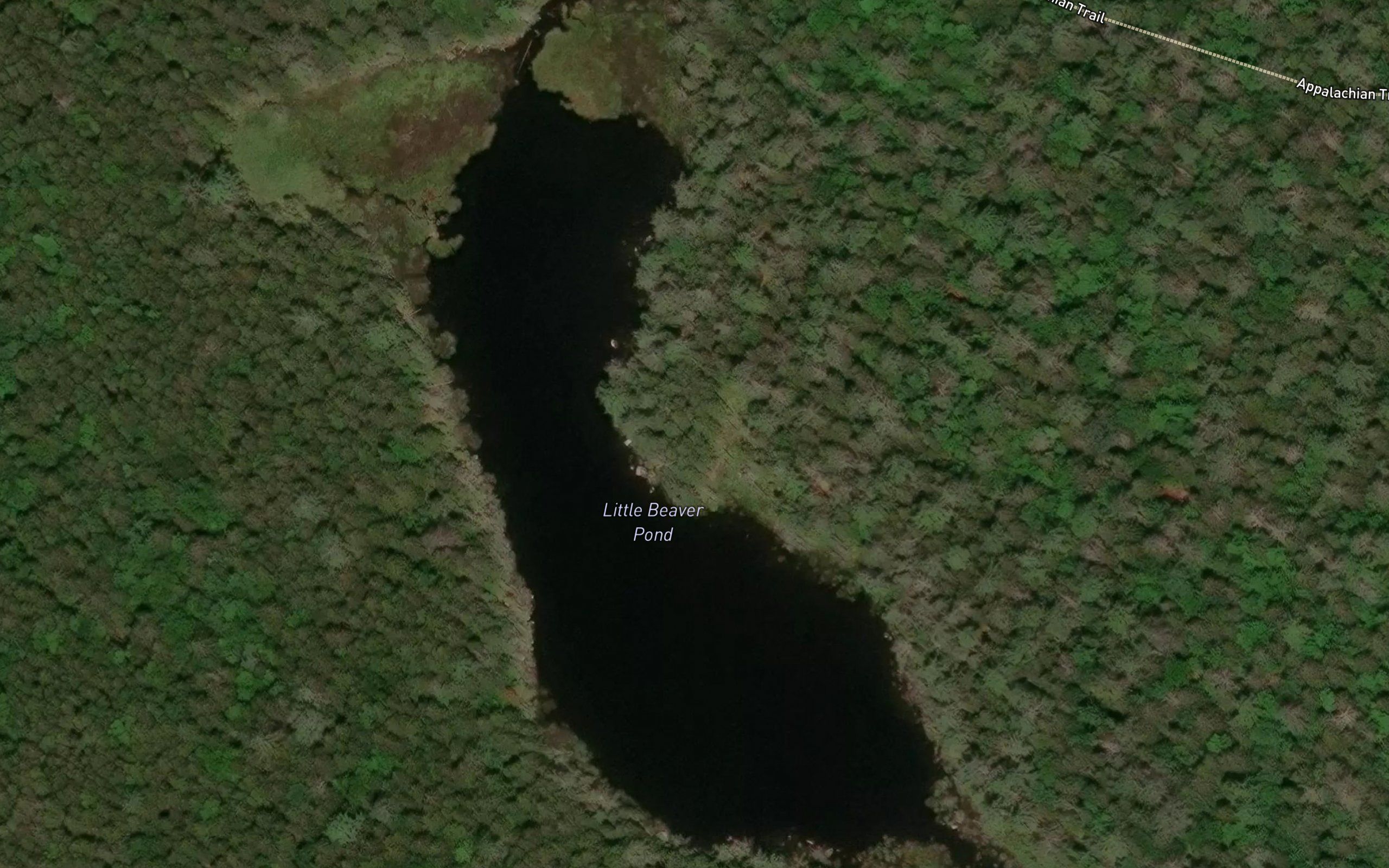Little Beaver Pond